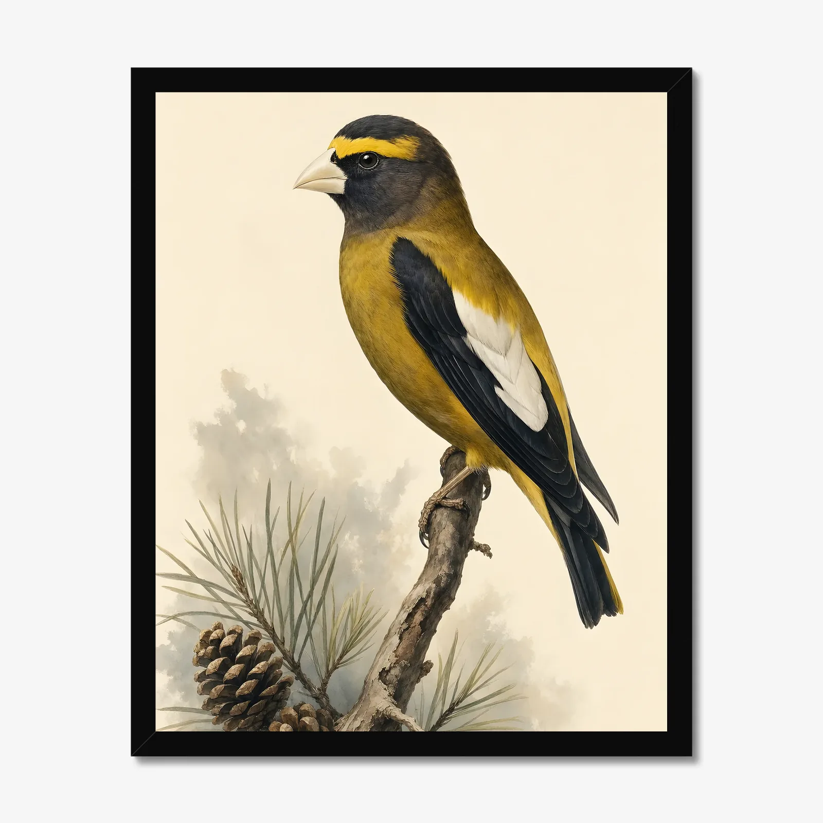 Evening Grosbeak Print in a black frame