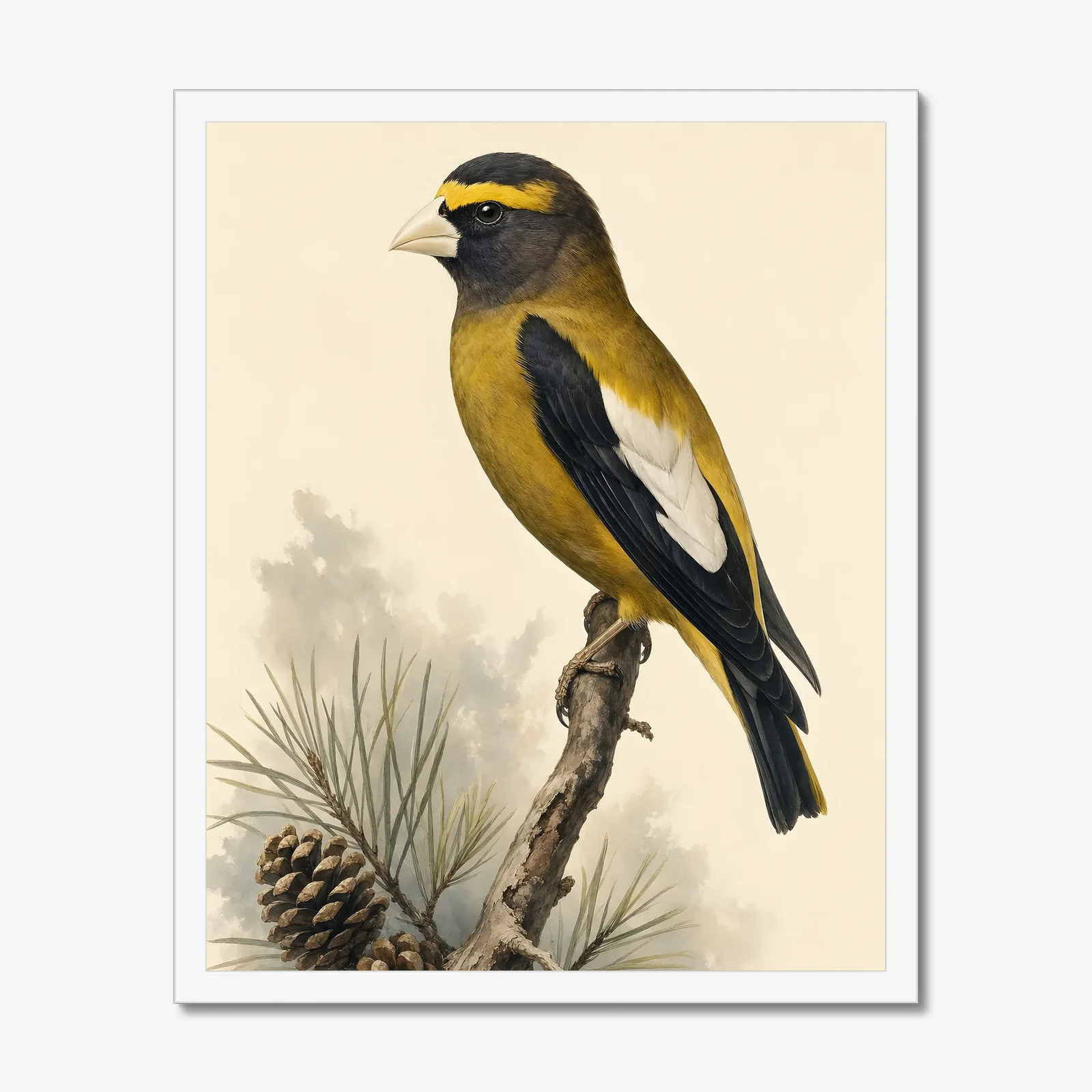 Evening Grosbeak Print in a white frame