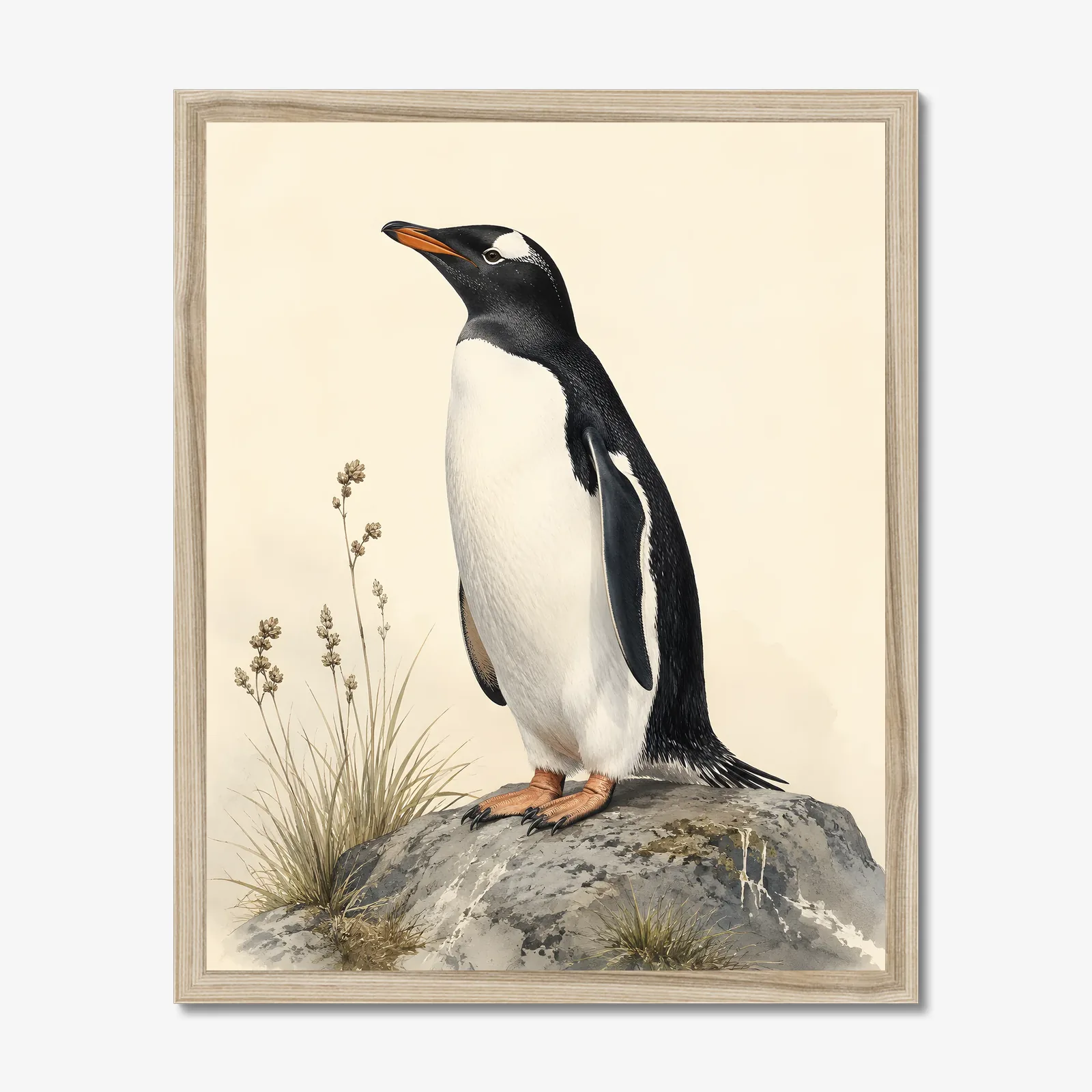 Gentoo Penguin Print in a natural frame