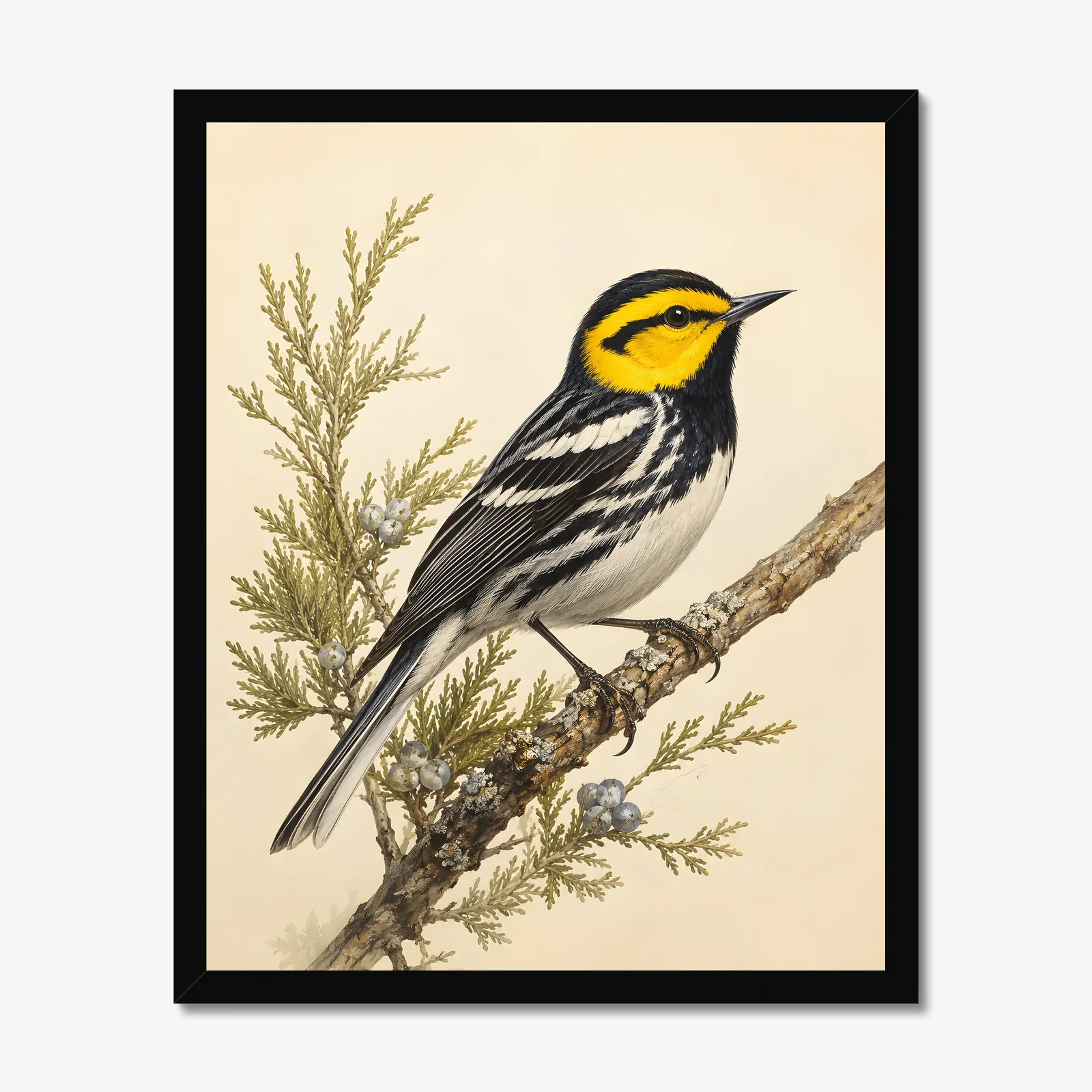 Golden-cheeked Warbler Print in a black frame