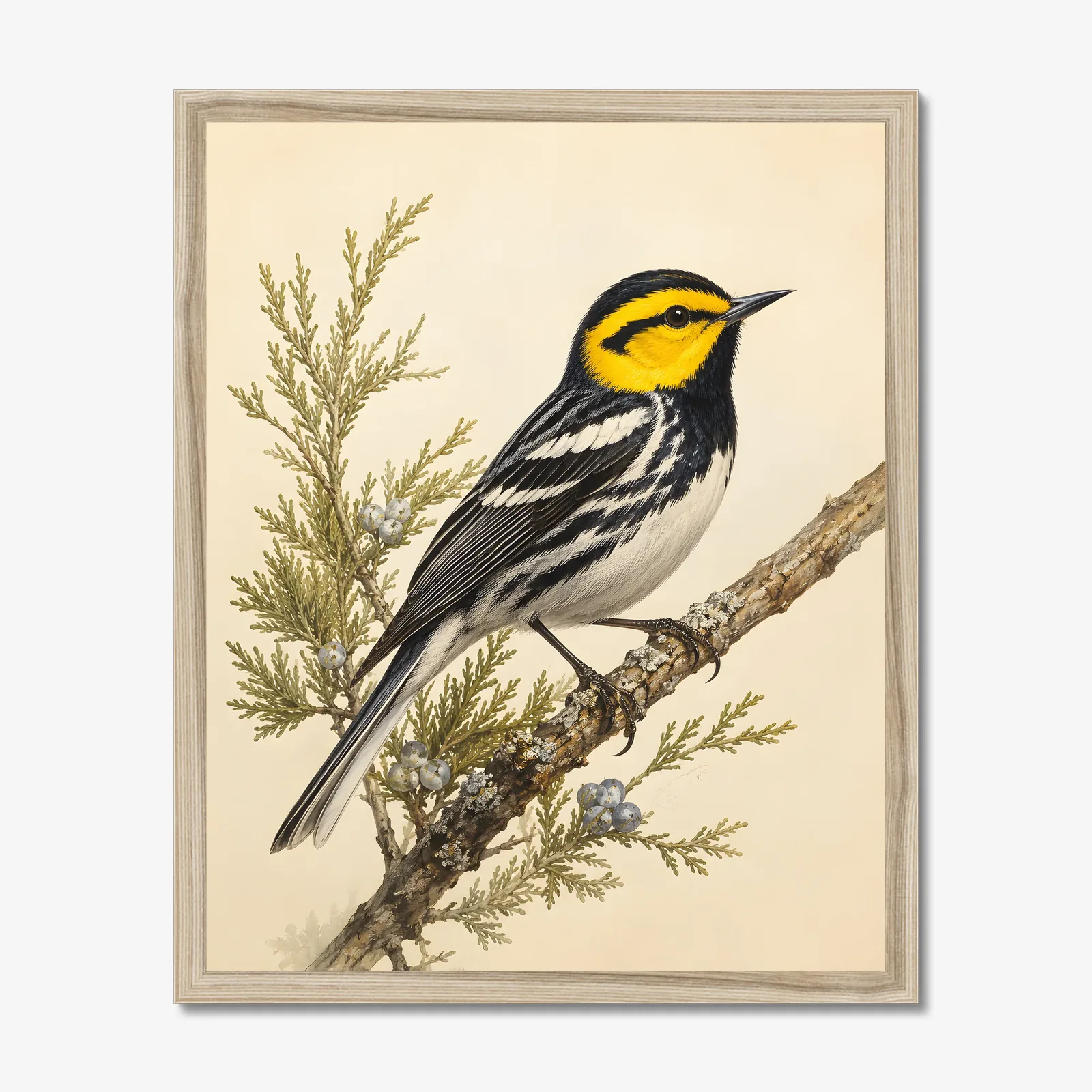 Golden-cheeked Warbler Print in a natural frame