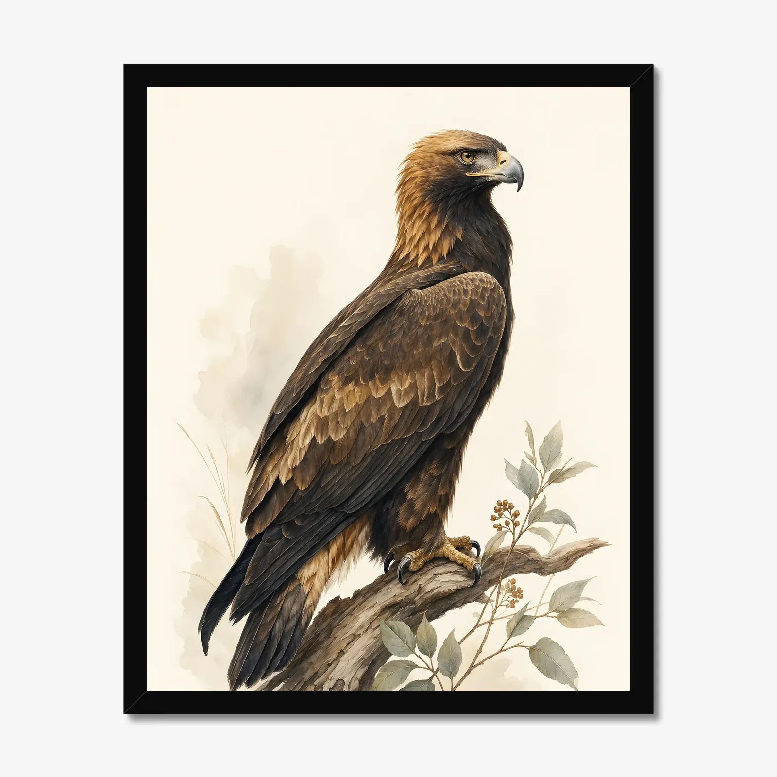 Golden Eagle Print in a black frame