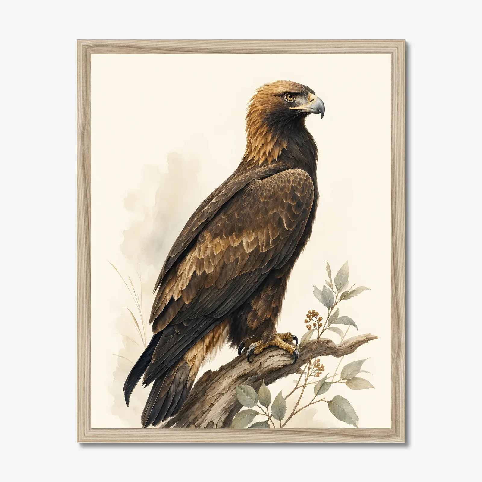Golden Eagle Print in a natural frame