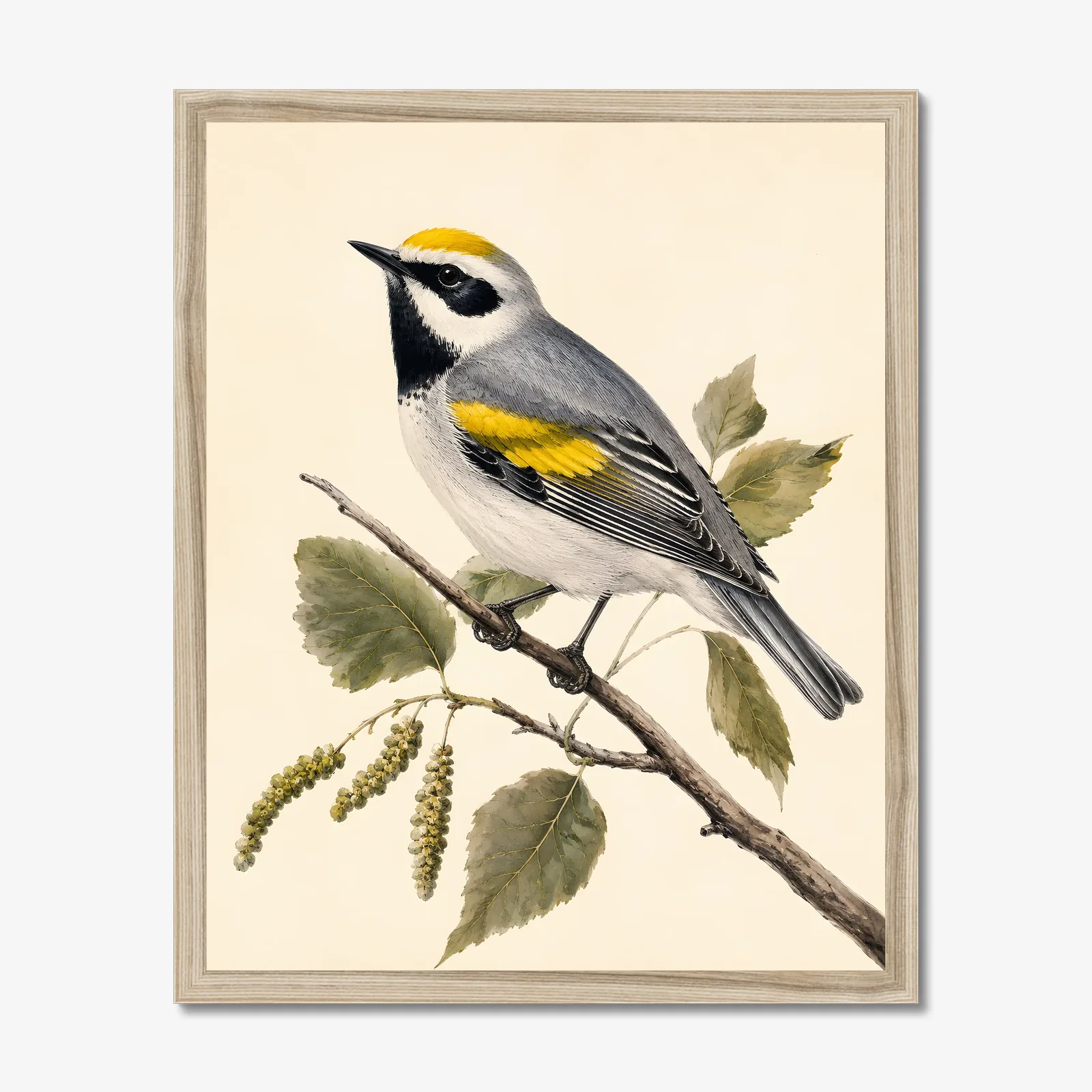 Golden-winged Warbler Print in a natural frame