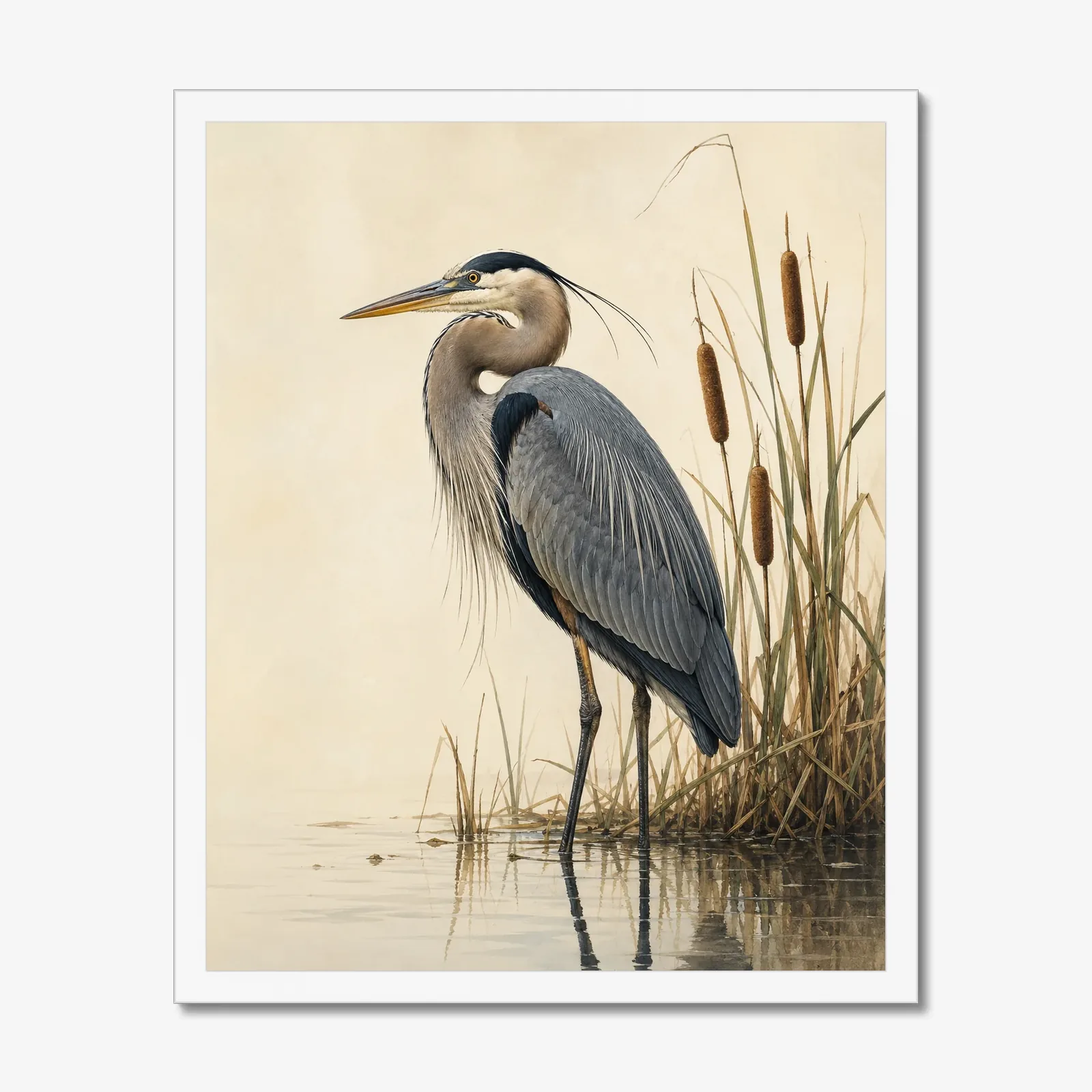 Great Blue Heron print in a white frame