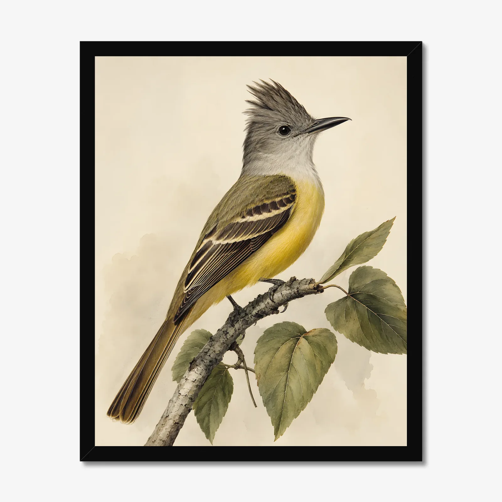 Great Crested Flycatcher Print in a black frame
