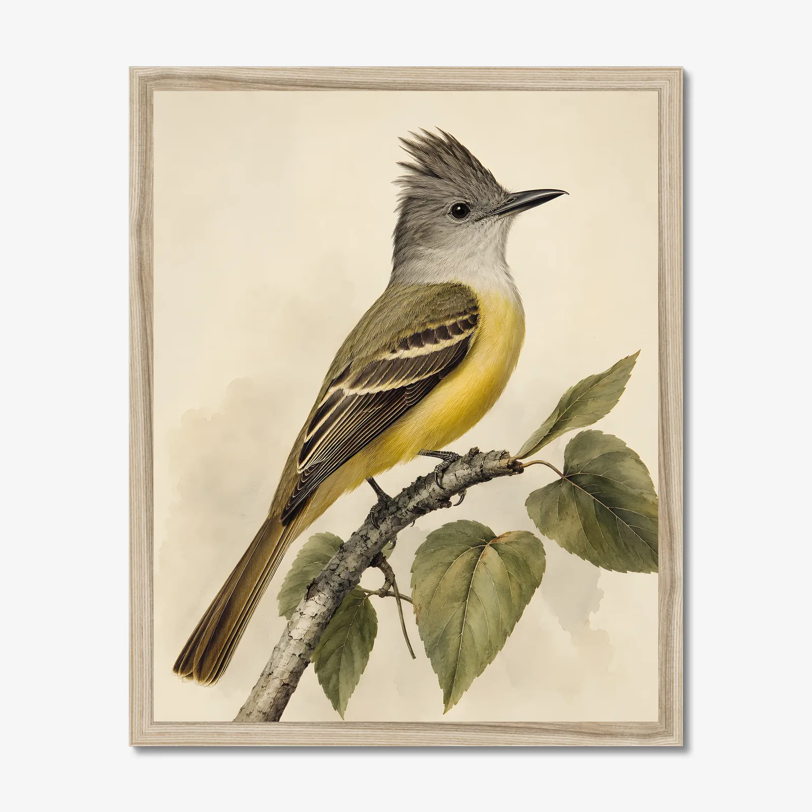 Great Crested Flycatcher Print in a natural frame