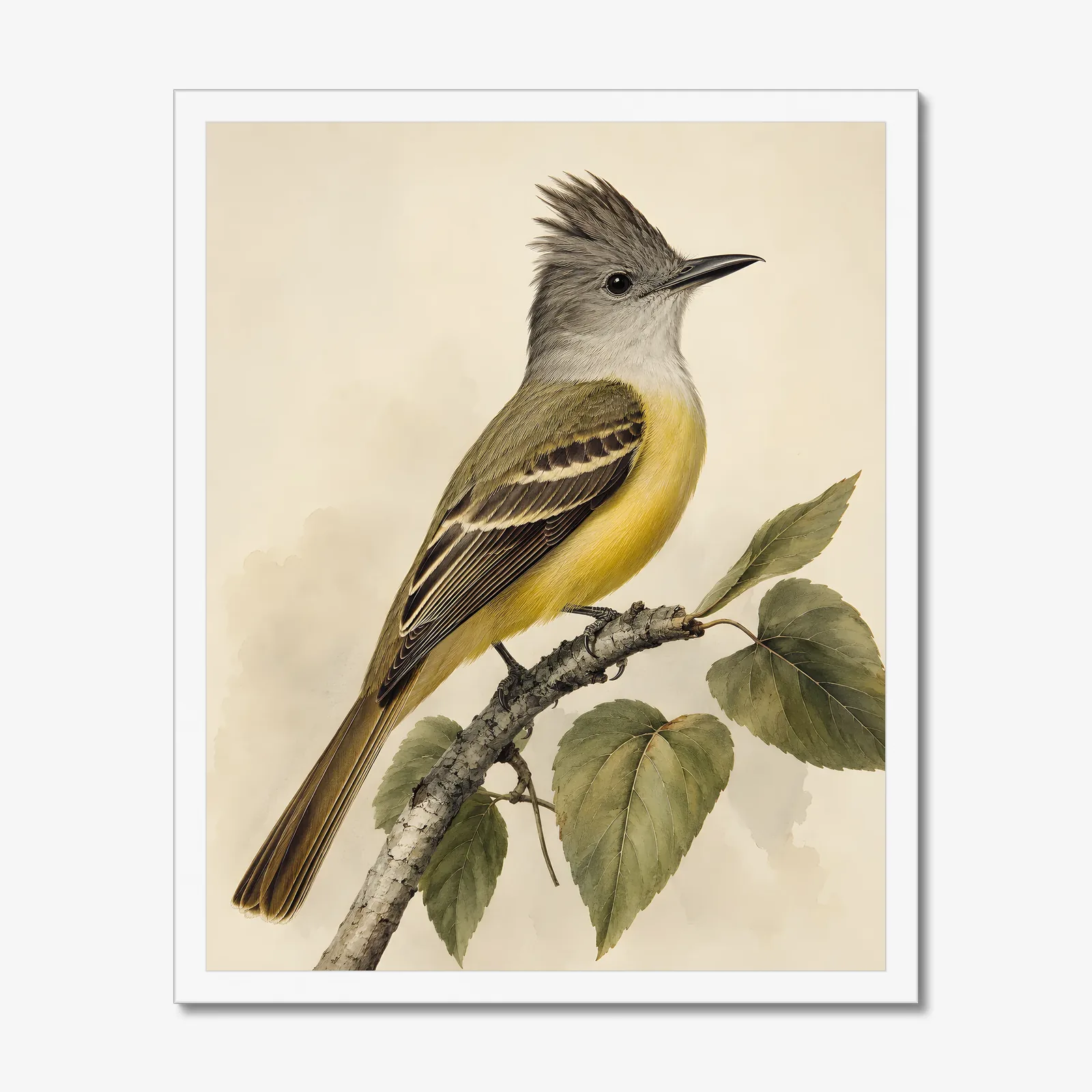 Great Crested Flycatcher Print in a white frame