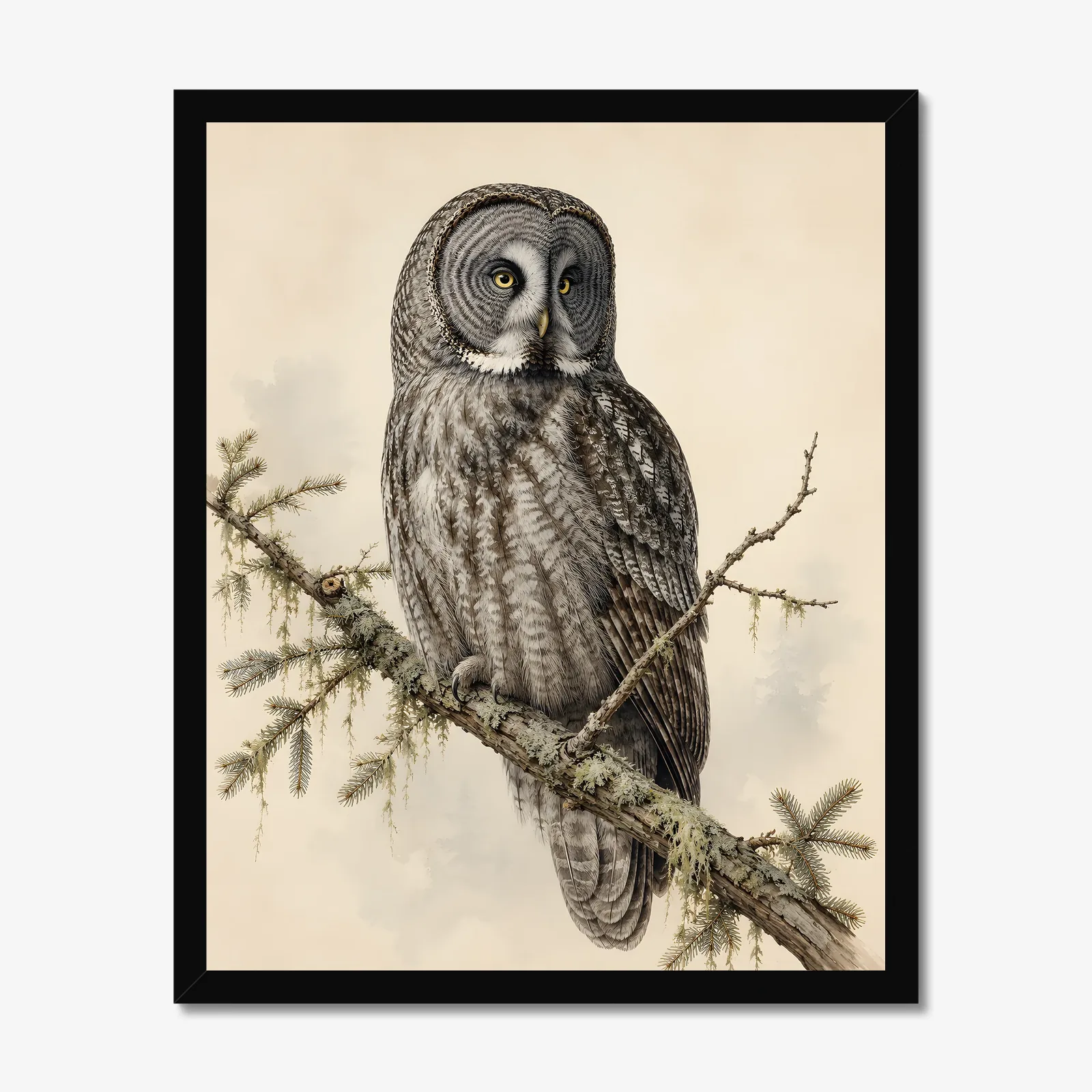 Great Gray Owl Print in a black frame