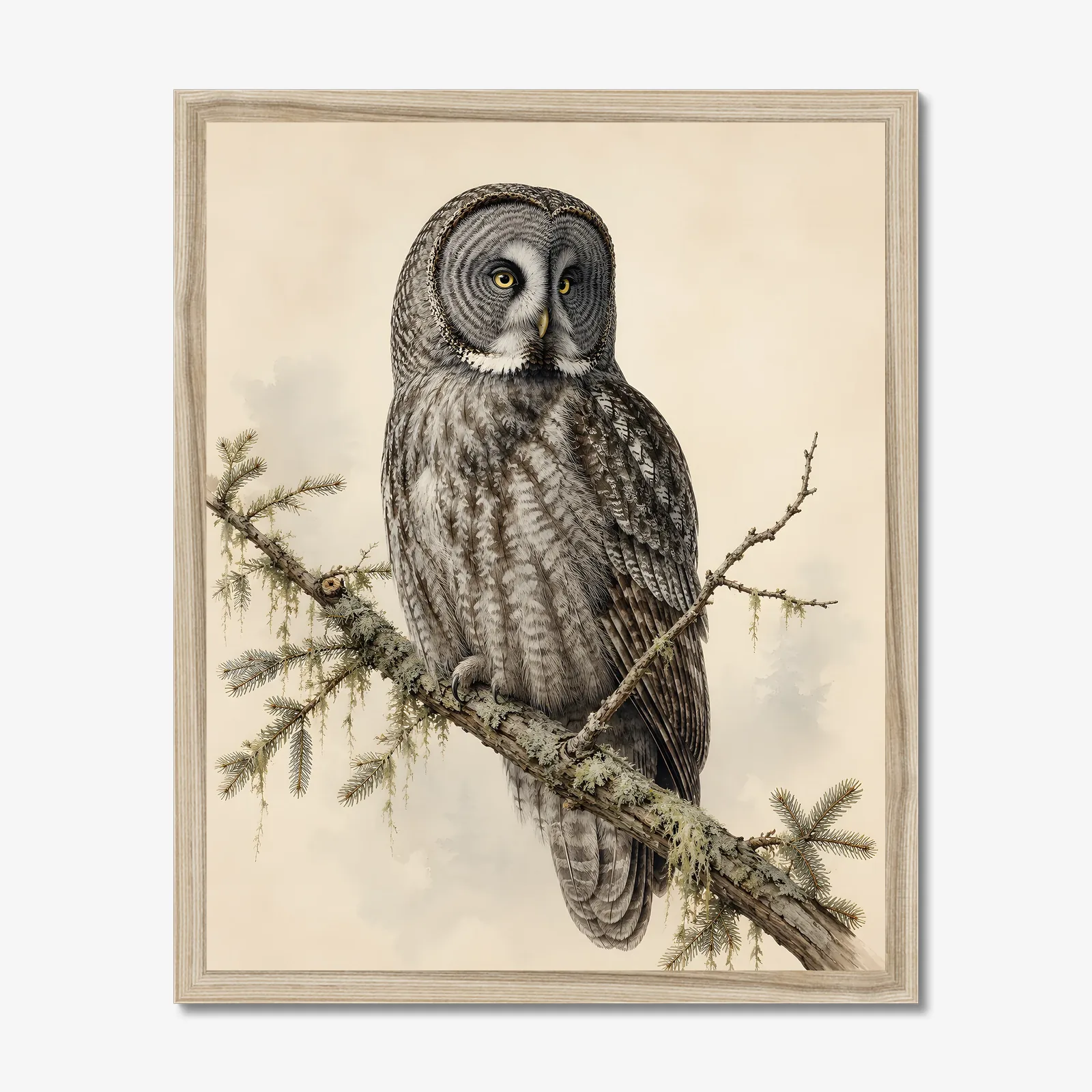 Great Gray Owl Print shown as a fine-art print