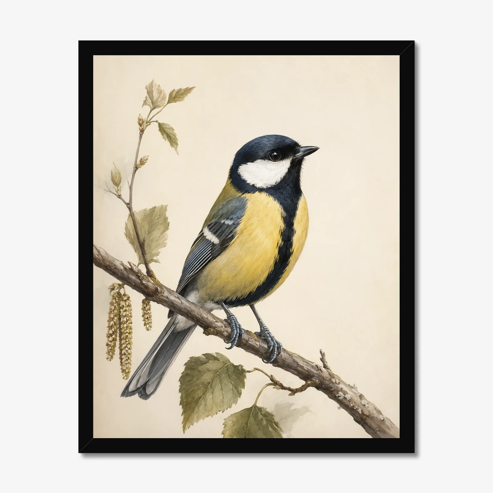 Great Tit Print in a black frame