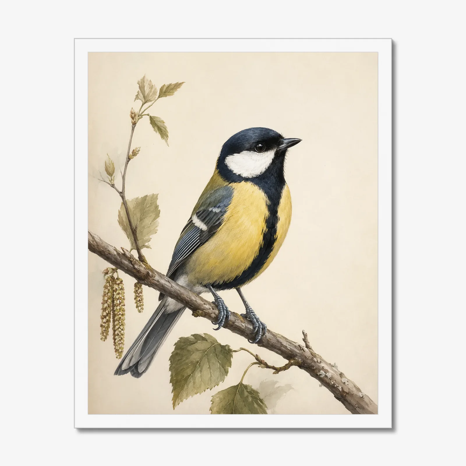 Great Tit Print in a white frame