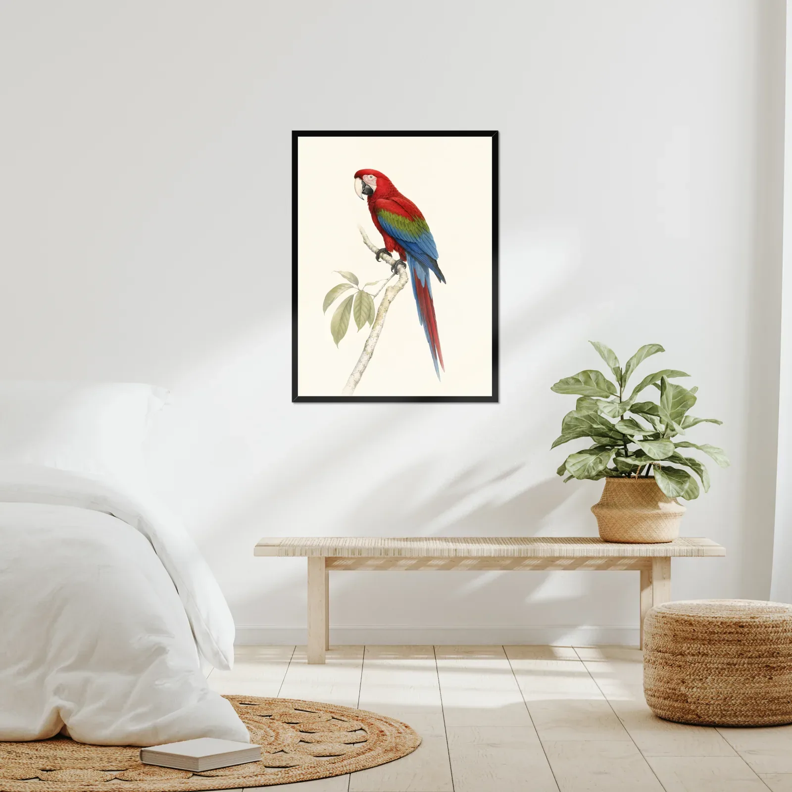 Green-winged Macaw Print framed at 24x30 inches, shown on a wall to scale
