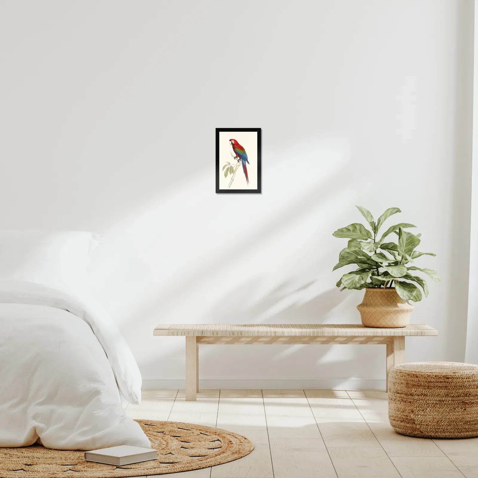 Green-winged Macaw Print framed at 8x10 inches, shown on a wall to scale
