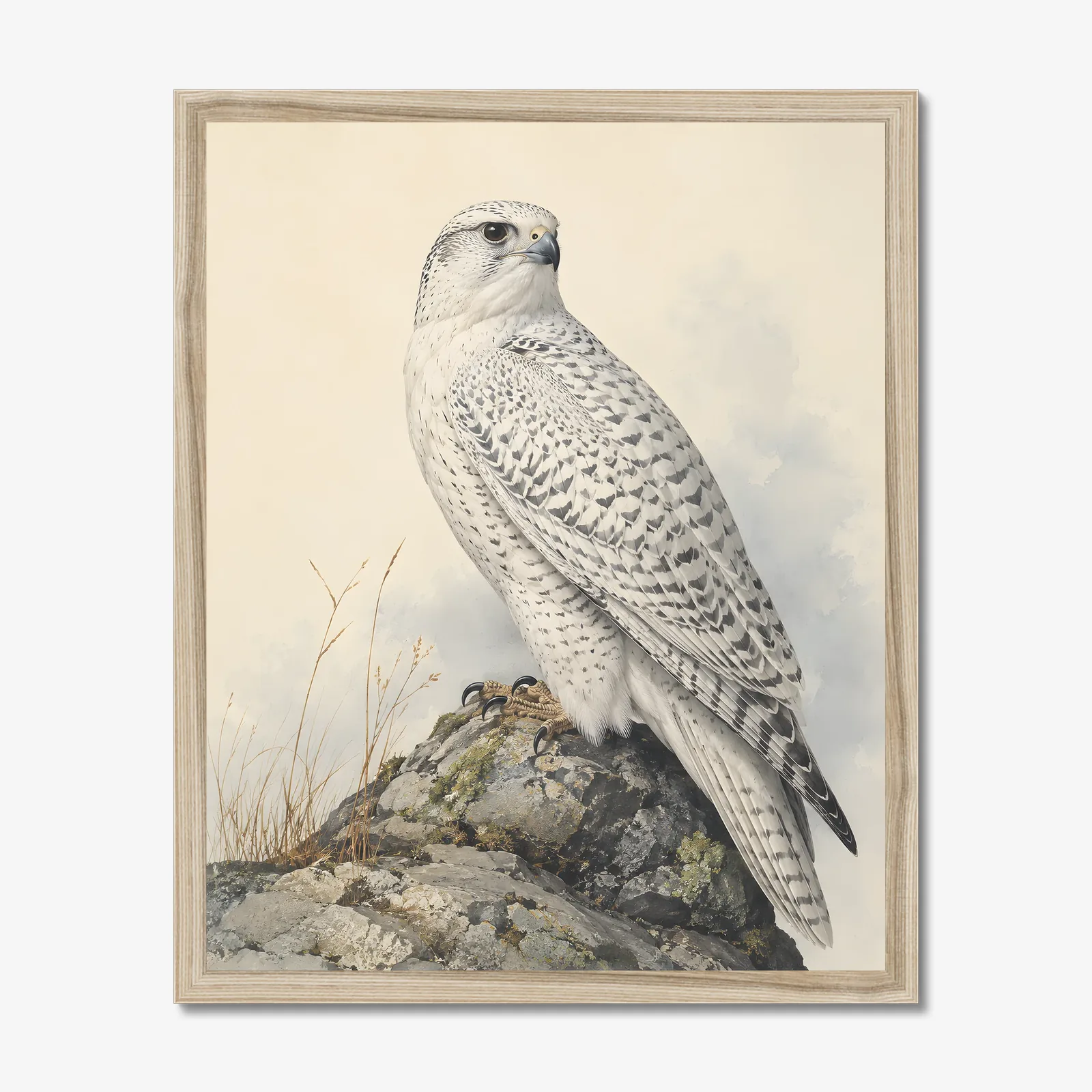 Gyrfalcon Print in a natural frame