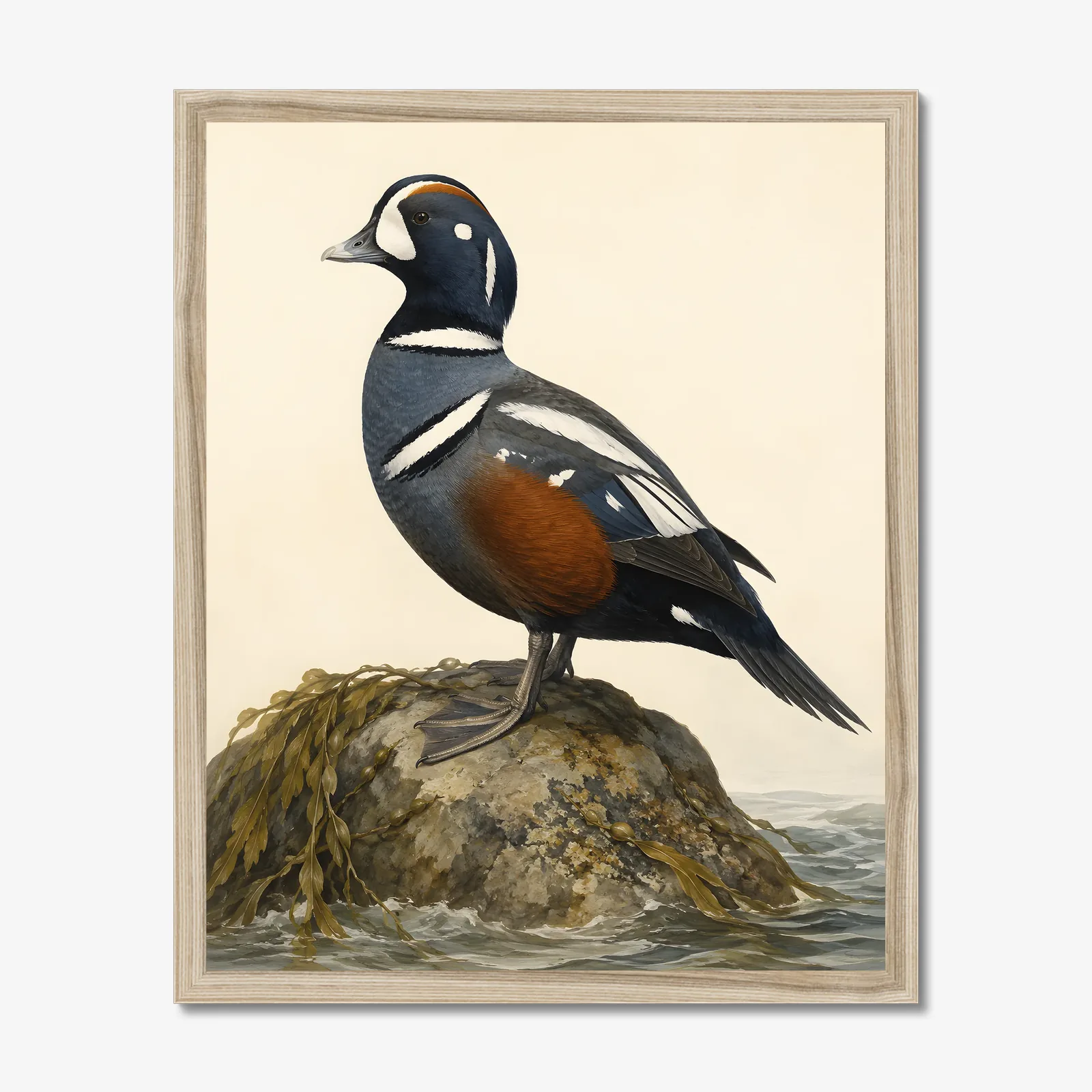 Harlequin Duck Print in a natural frame