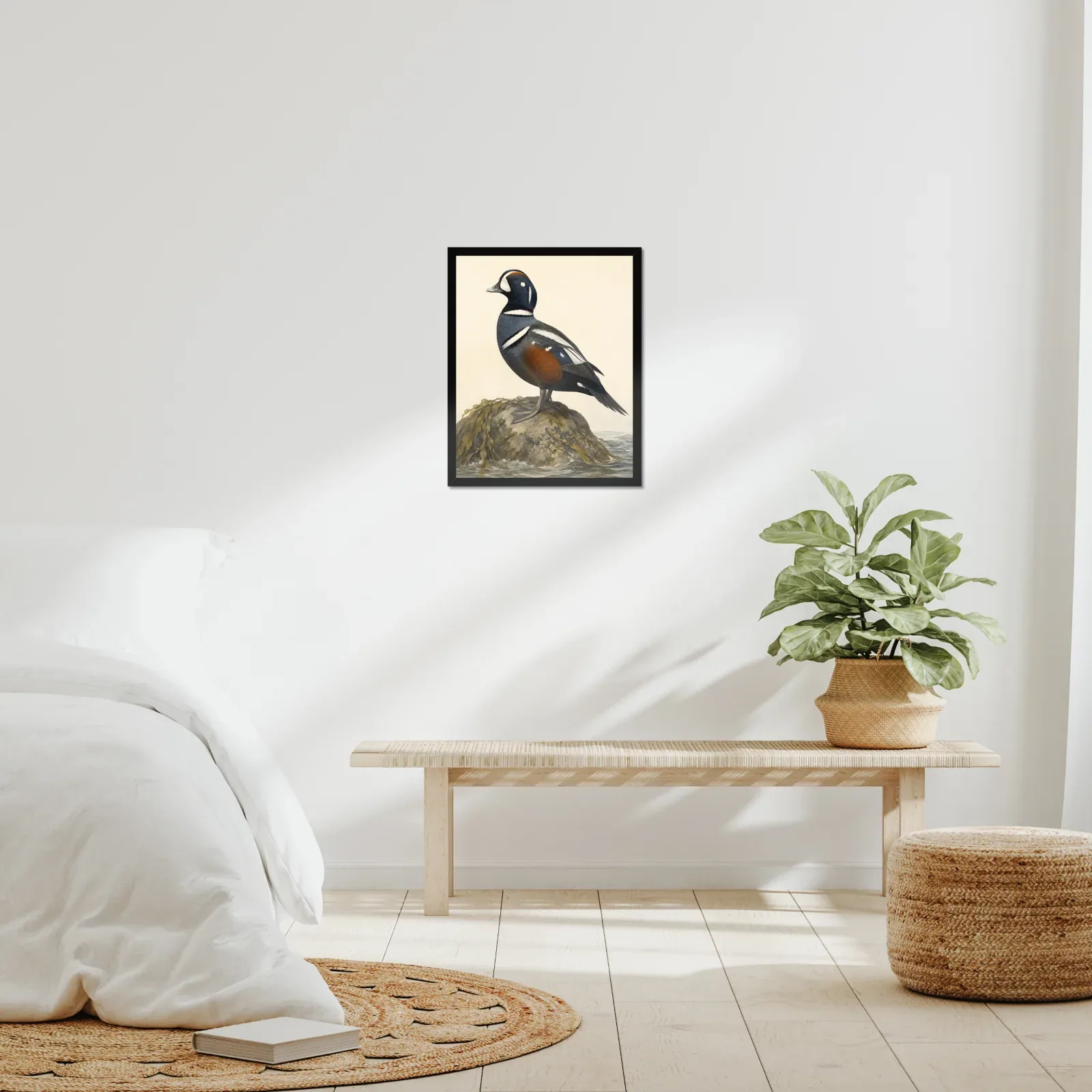 Harlequin Duck Print framed at 16x20 inches, shown on a wall to scale