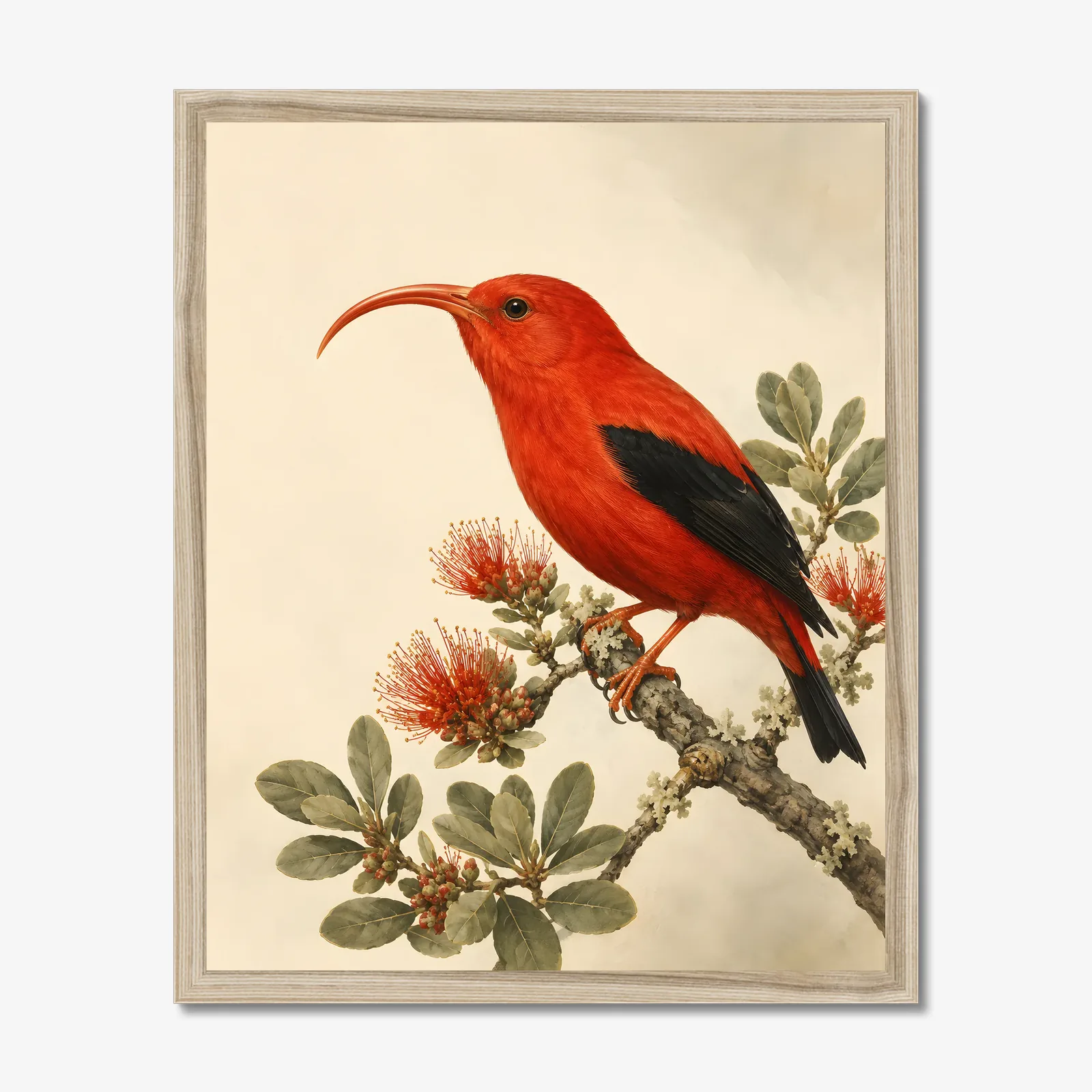 Hawaiian Honeycreeper Print in a natural frame