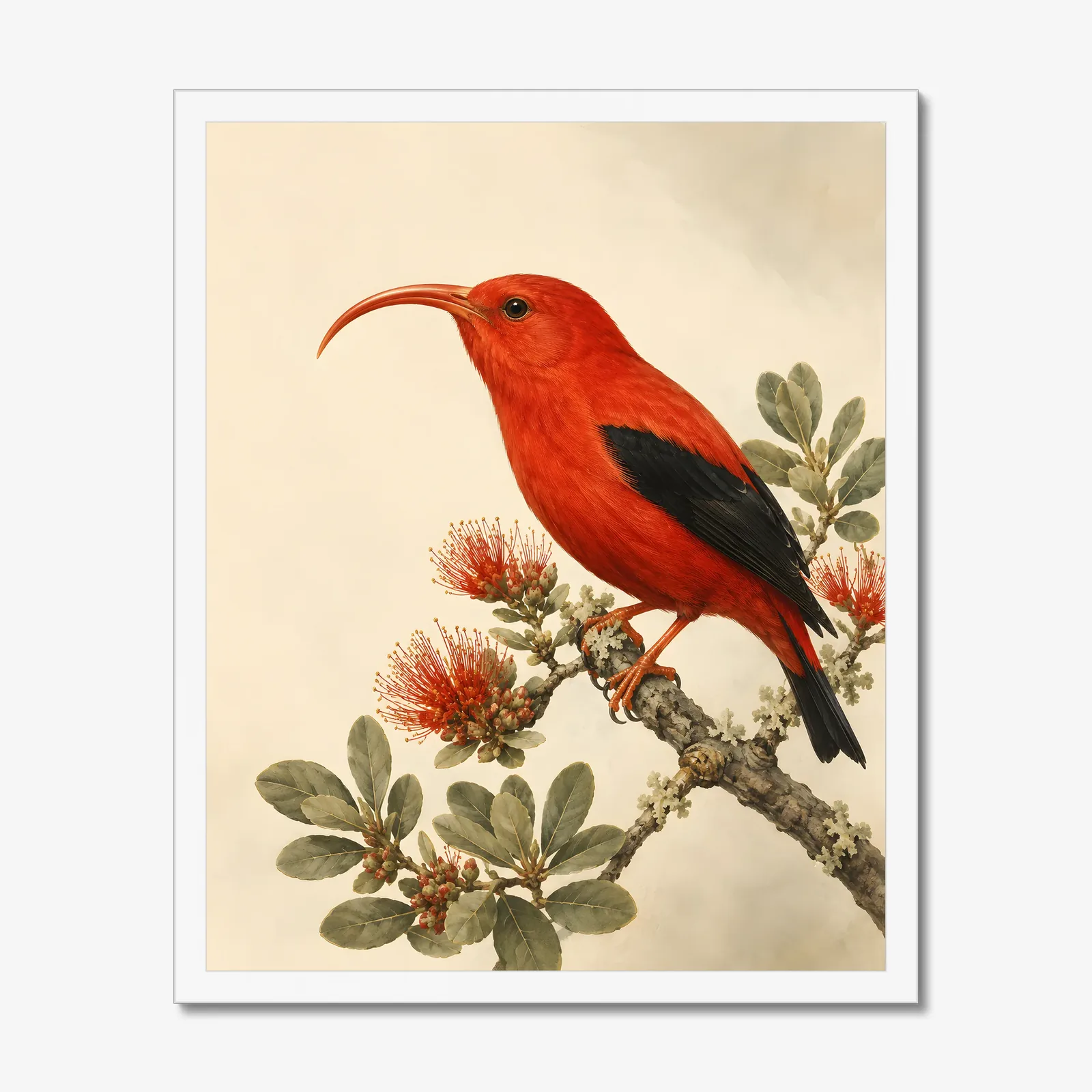 Hawaiian Honeycreeper Print in a white frame