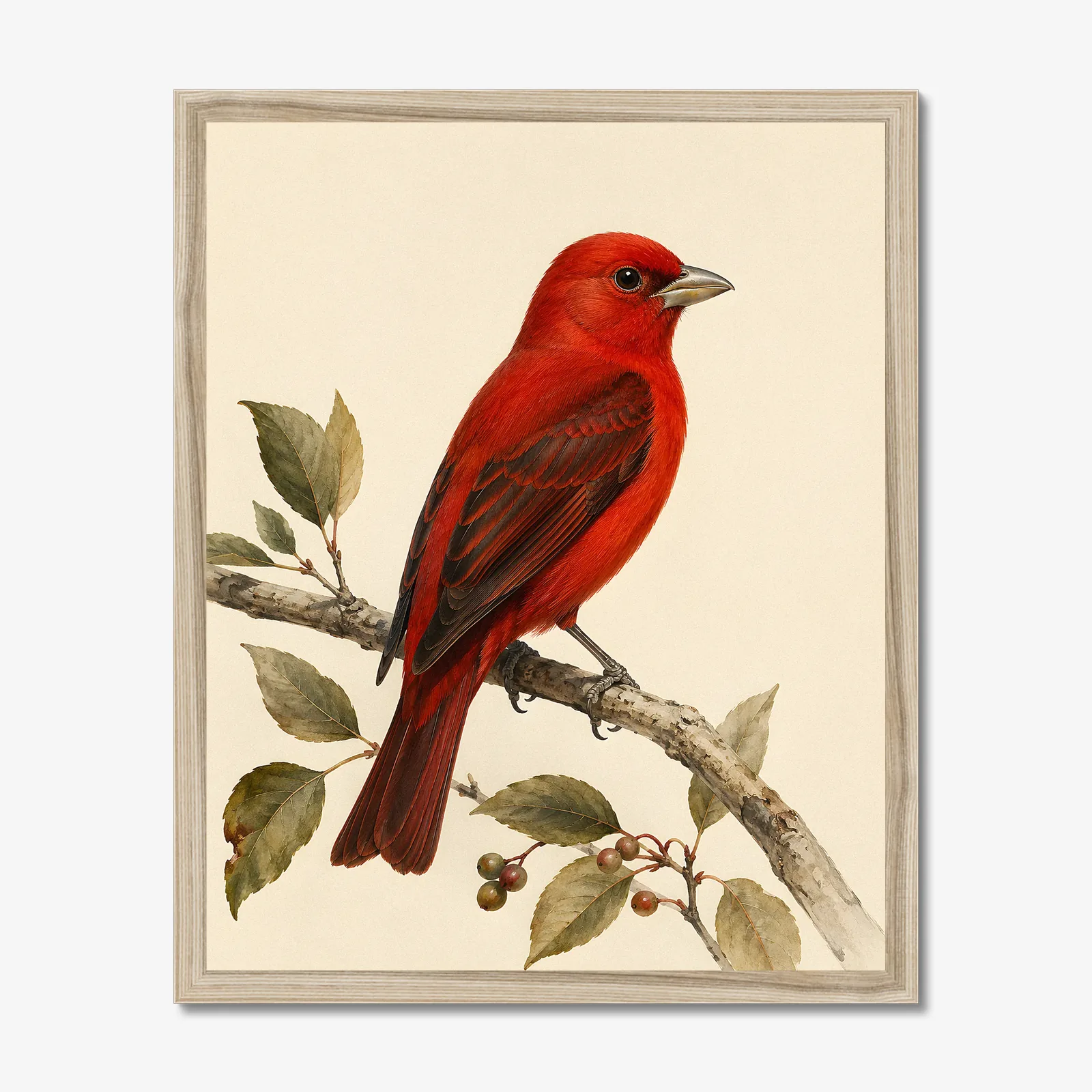Hepatic Tanager Print in a natural frame