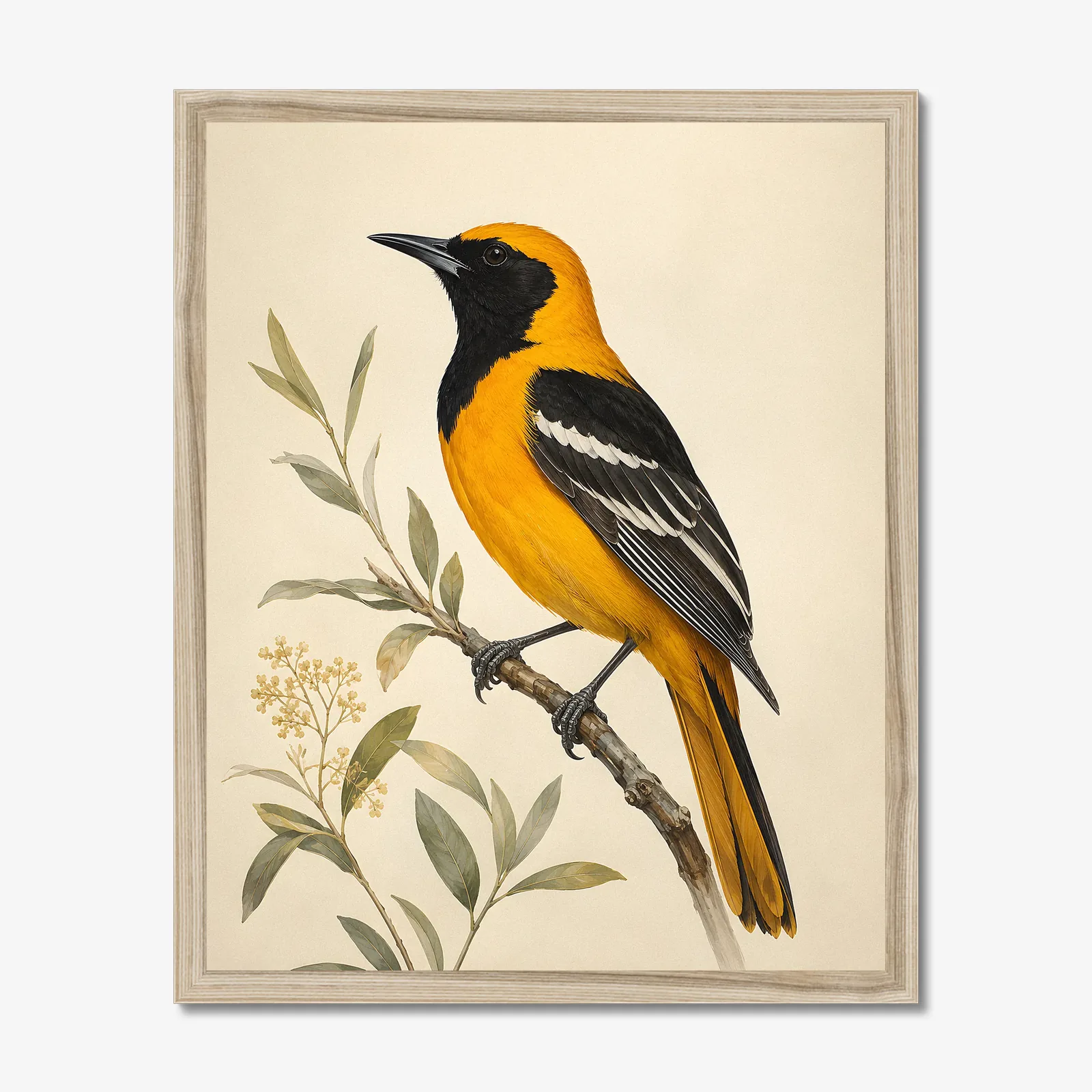 Hooded Oriole Print in a natural frame