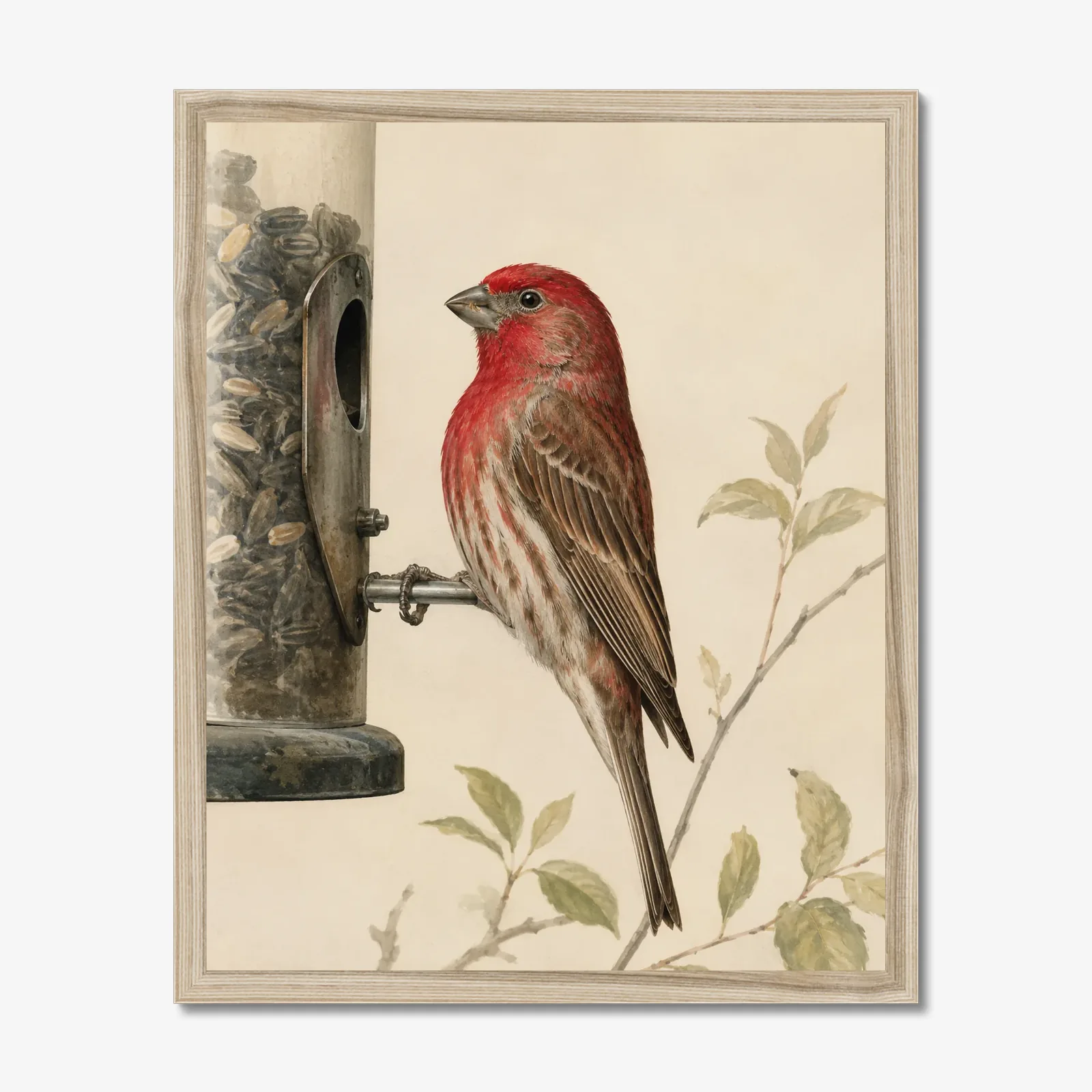 House Finch Print shown as a fine-art print