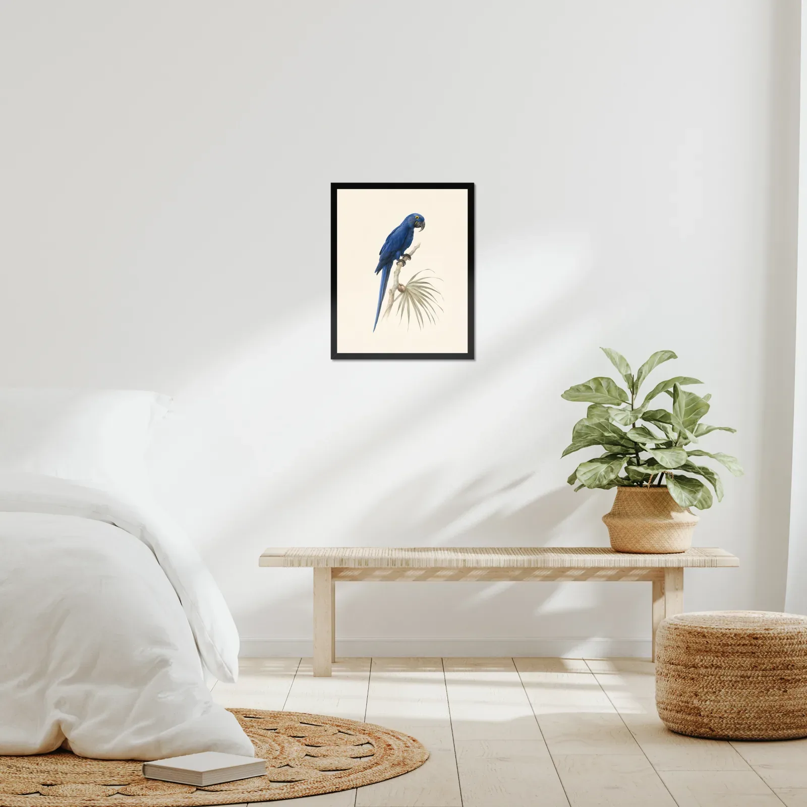 Hyacinth Macaw Print framed at 16x20 inches, shown on a wall to scale