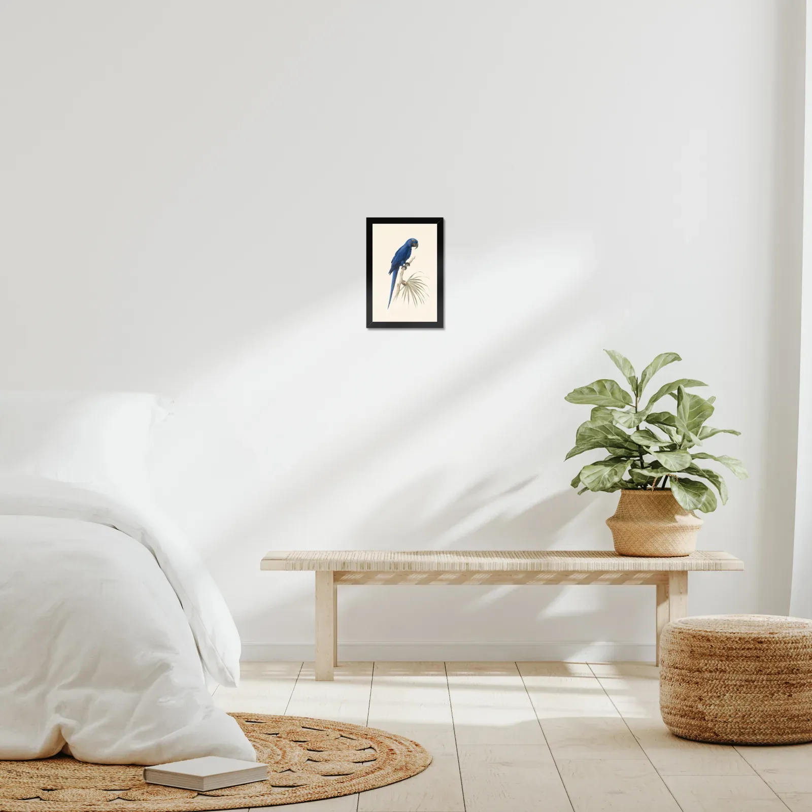 Hyacinth Macaw Print framed at 8x10 inches, shown on a wall to scale