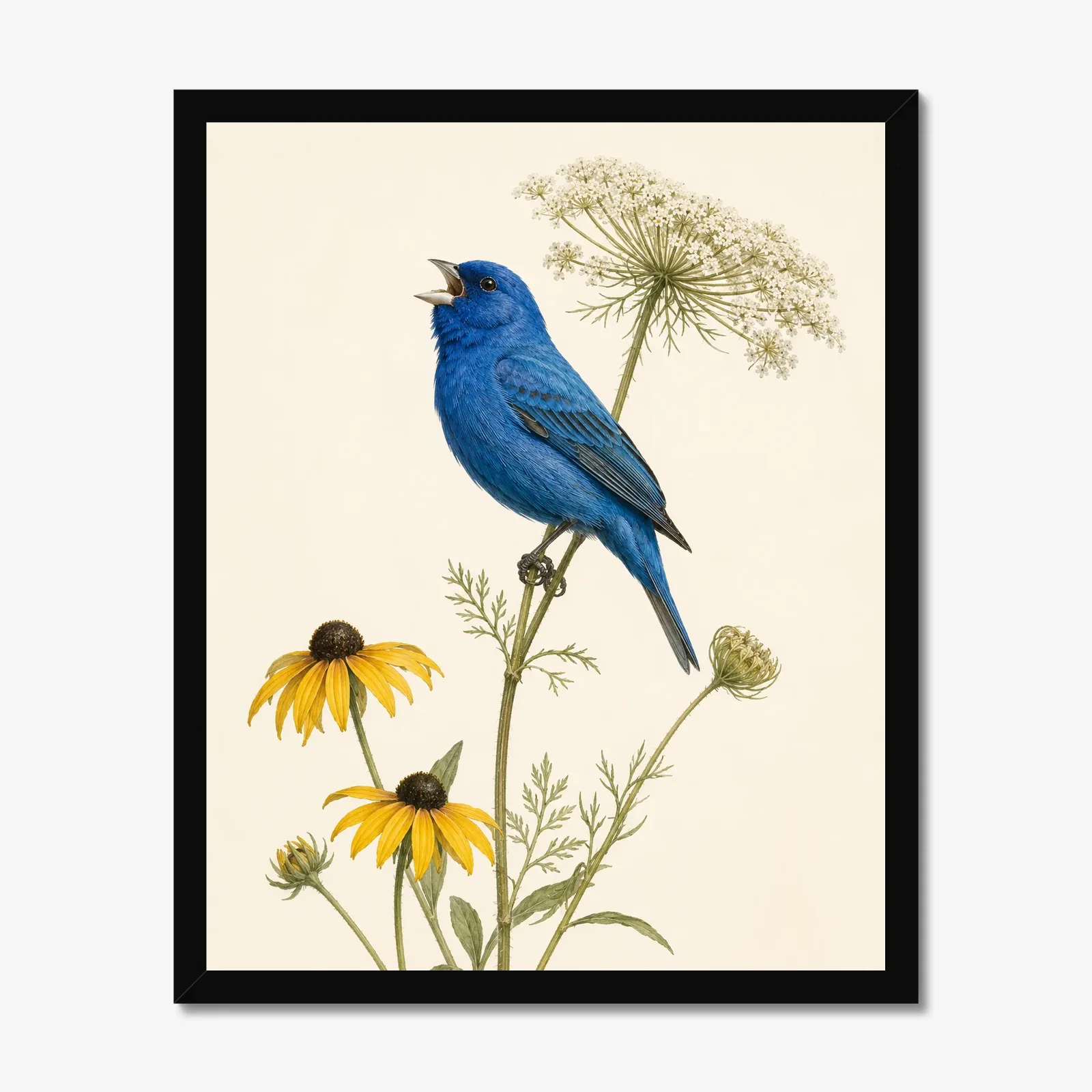 Indigo Bunting Print - Blue Songbird Fine Art Print in a black frame
