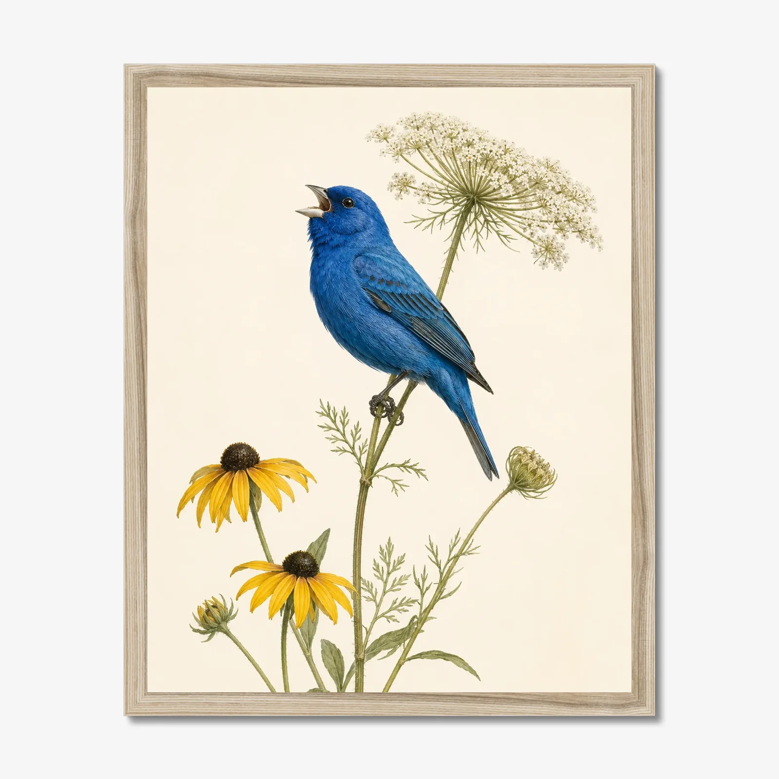 Indigo Bunting Print - Blue Songbird Fine Art Print in a natural frame