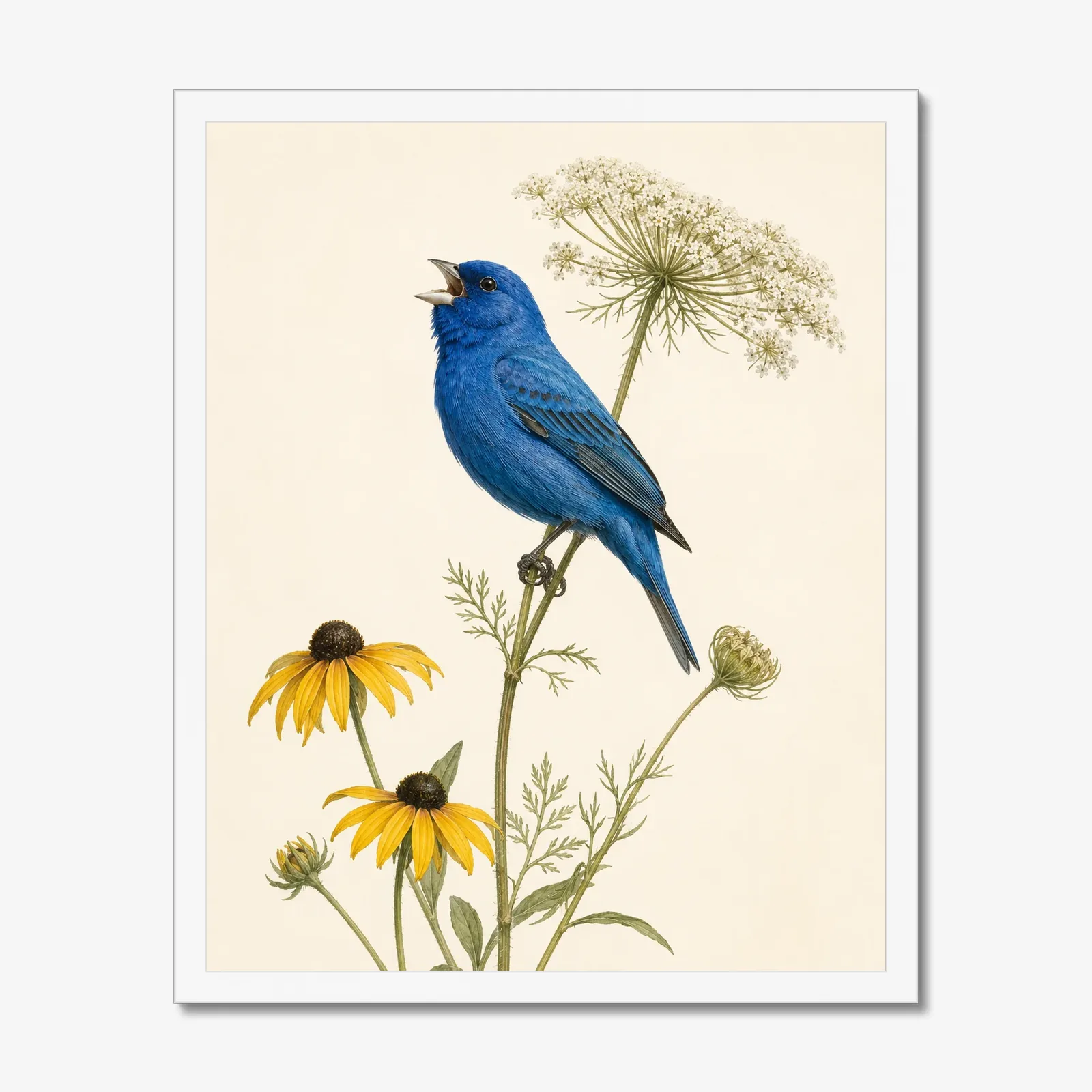 Indigo Bunting Print - Blue Songbird Fine Art Print in a white frame