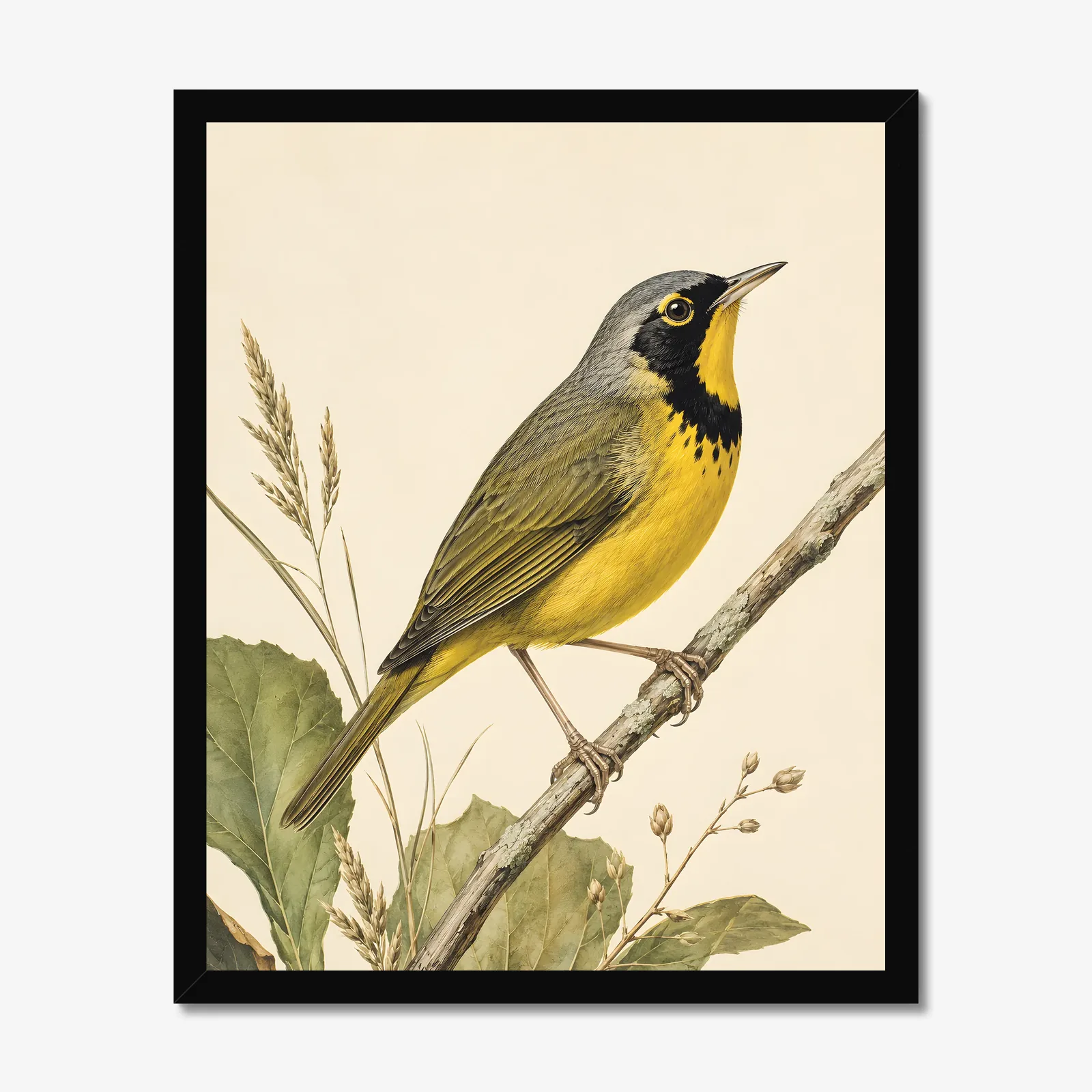 Kentucky Warbler Print in a black frame