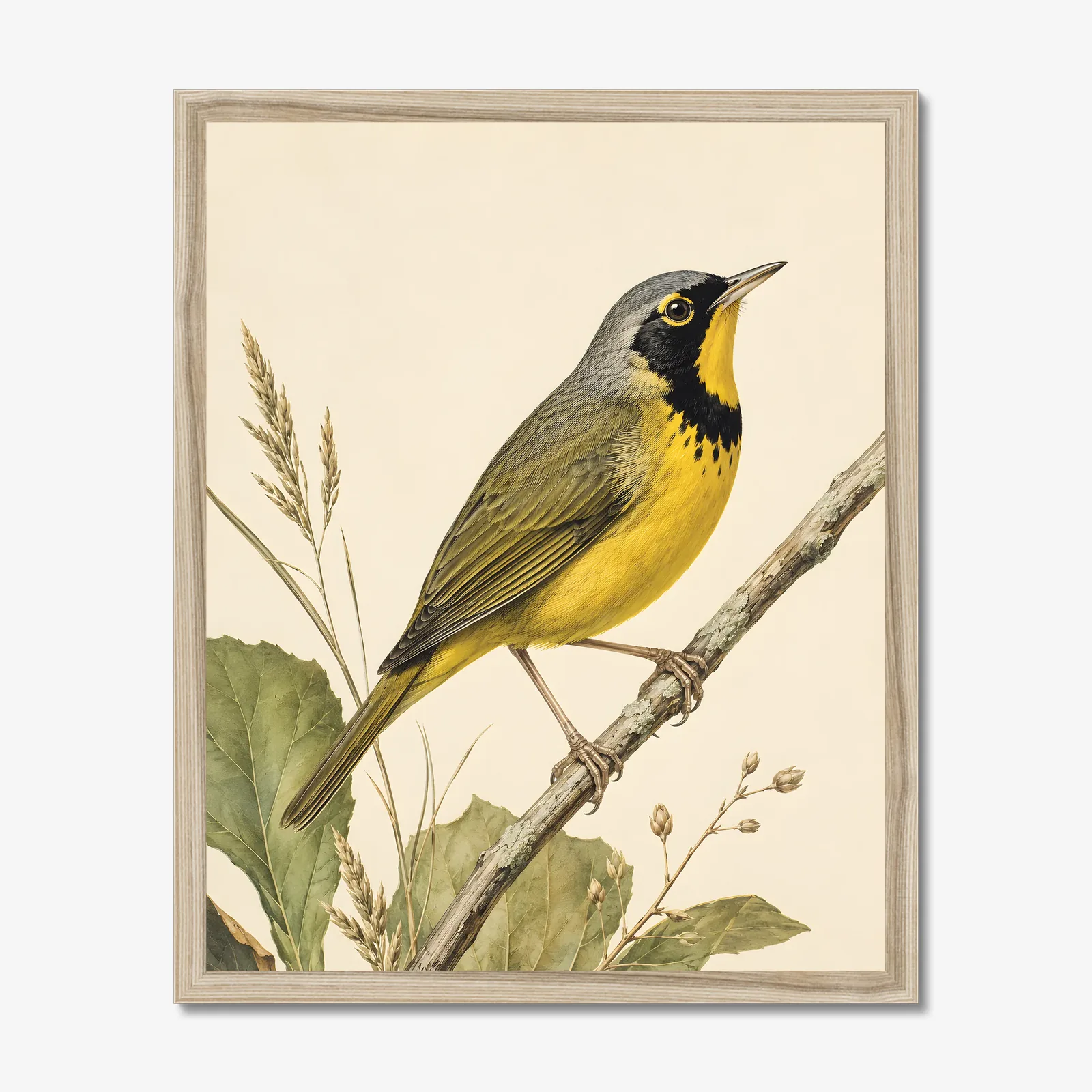 Kentucky Warbler Print in a natural frame