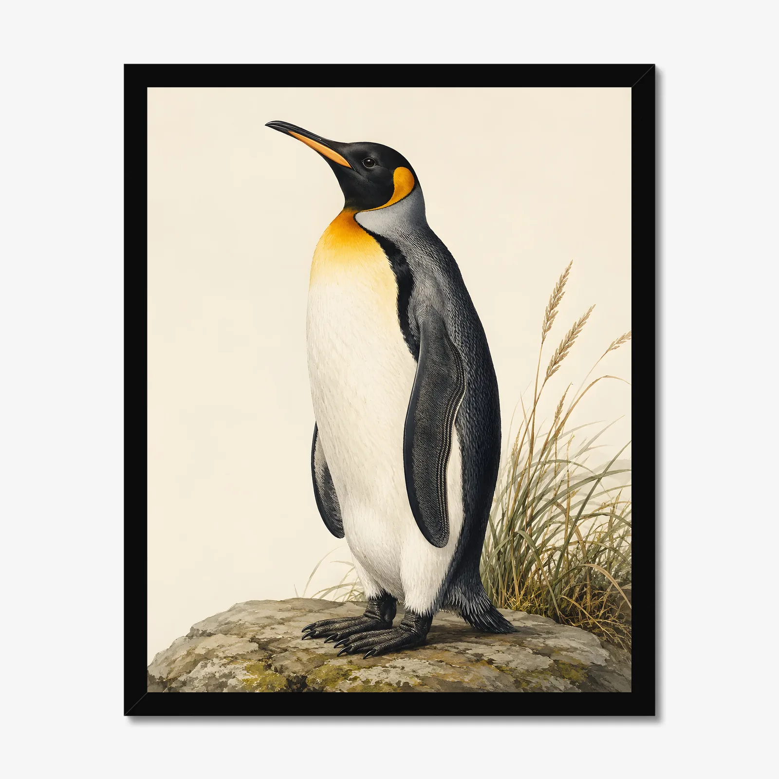 King Penguin Print in a black frame