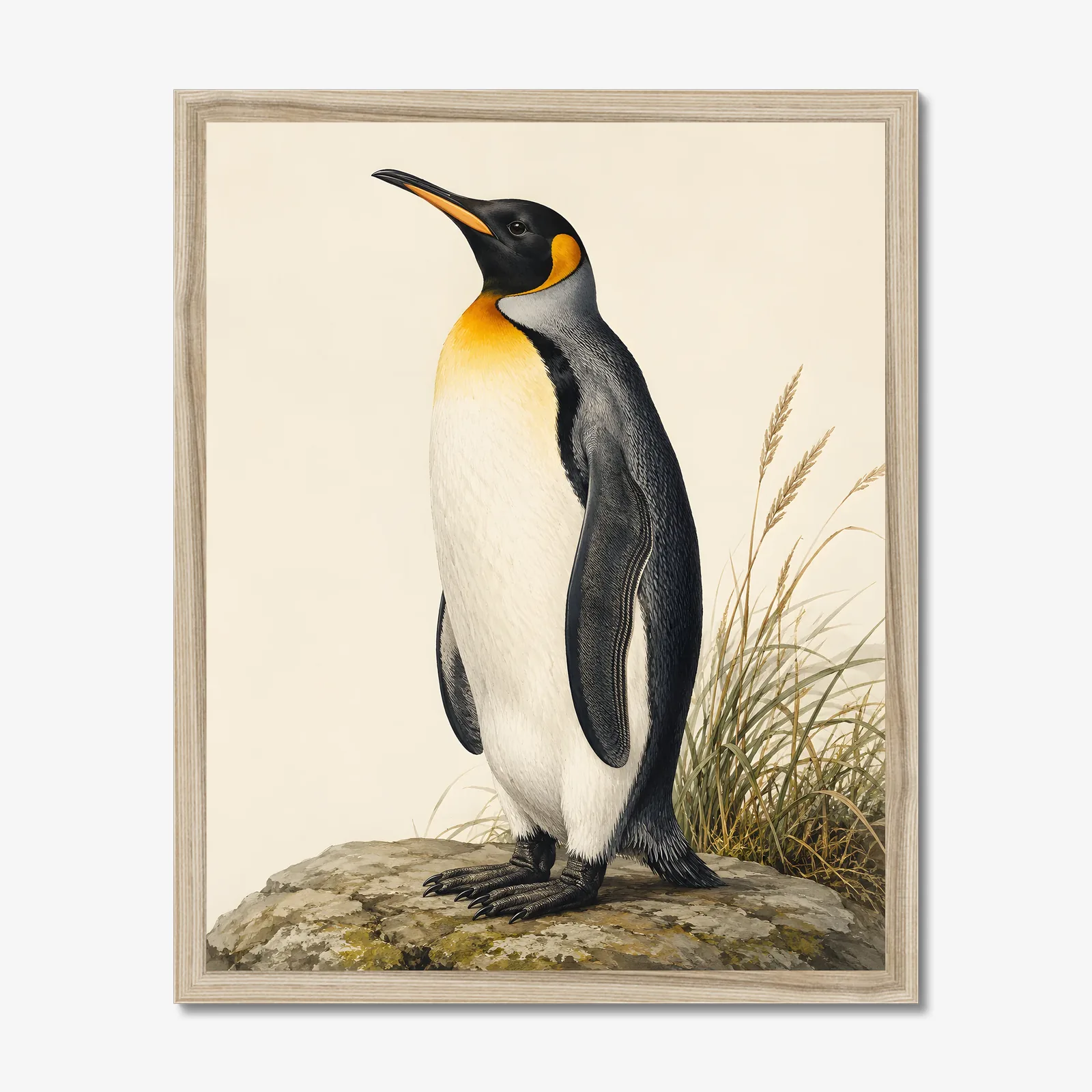 King Penguin Print shown as a fine-art print