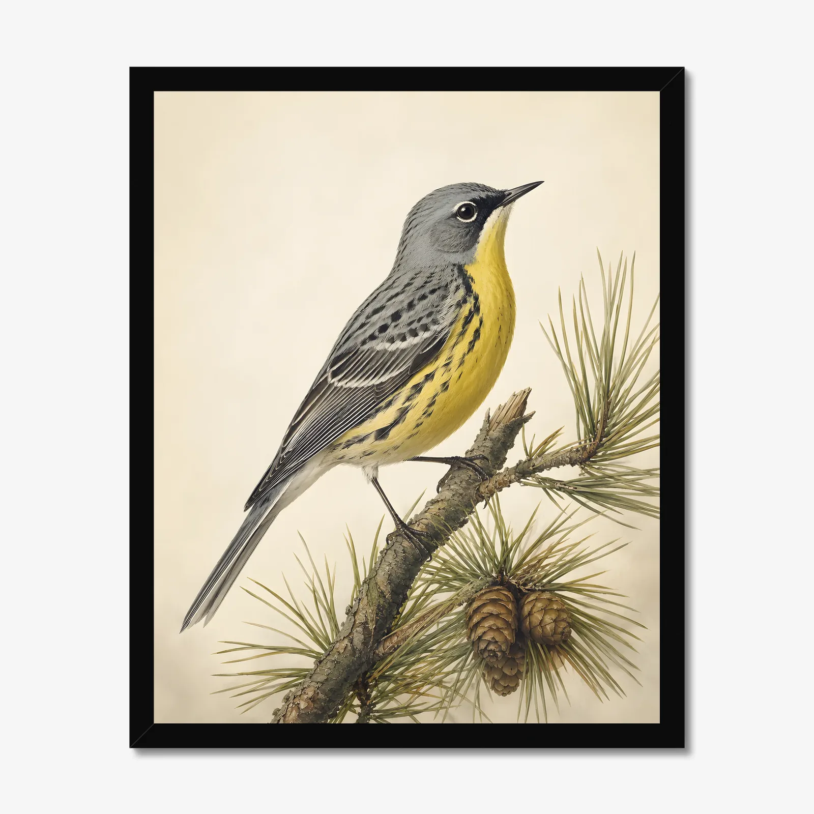 Kirtland's Warbler Print in a black frame