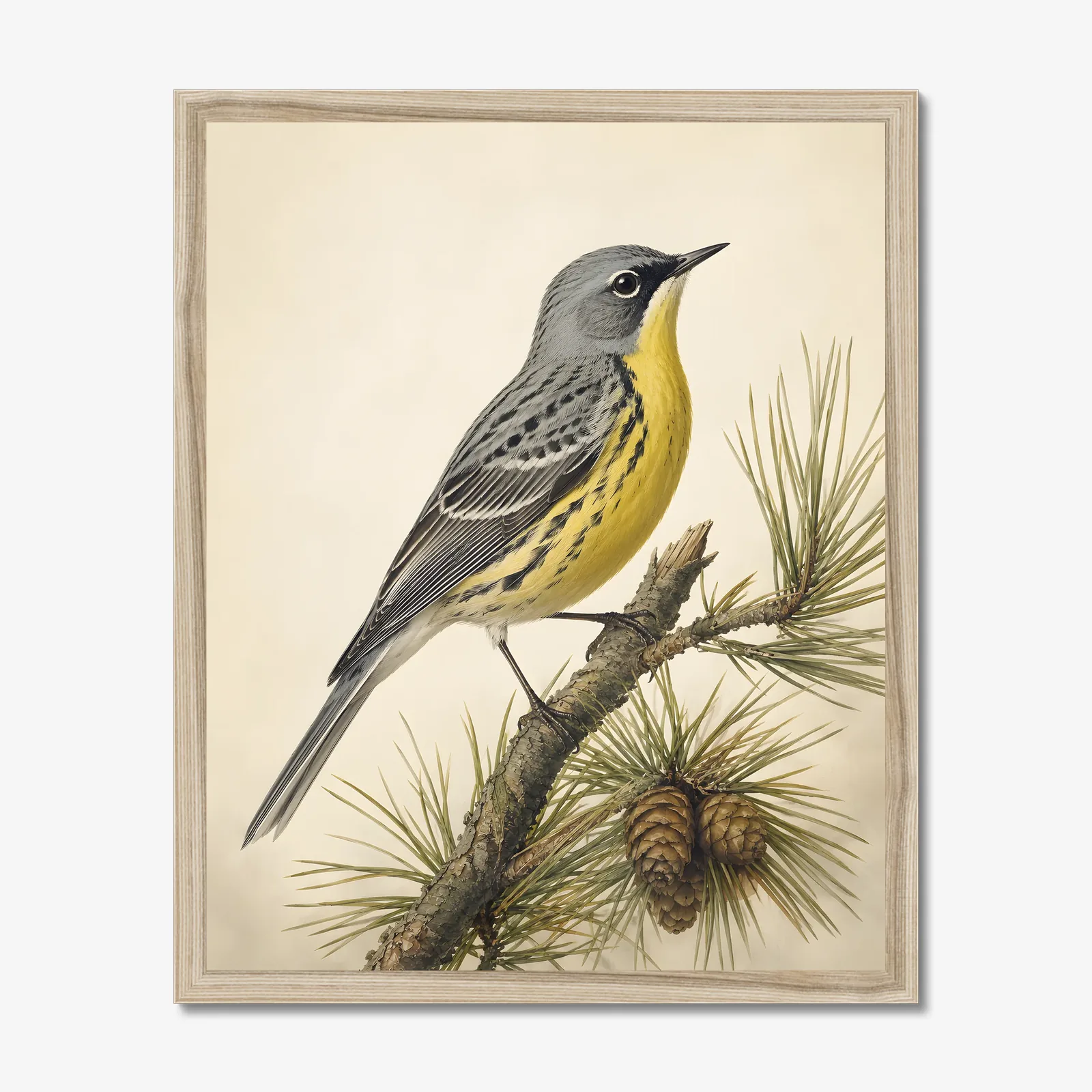 Kirtland's Warbler Print in a natural frame