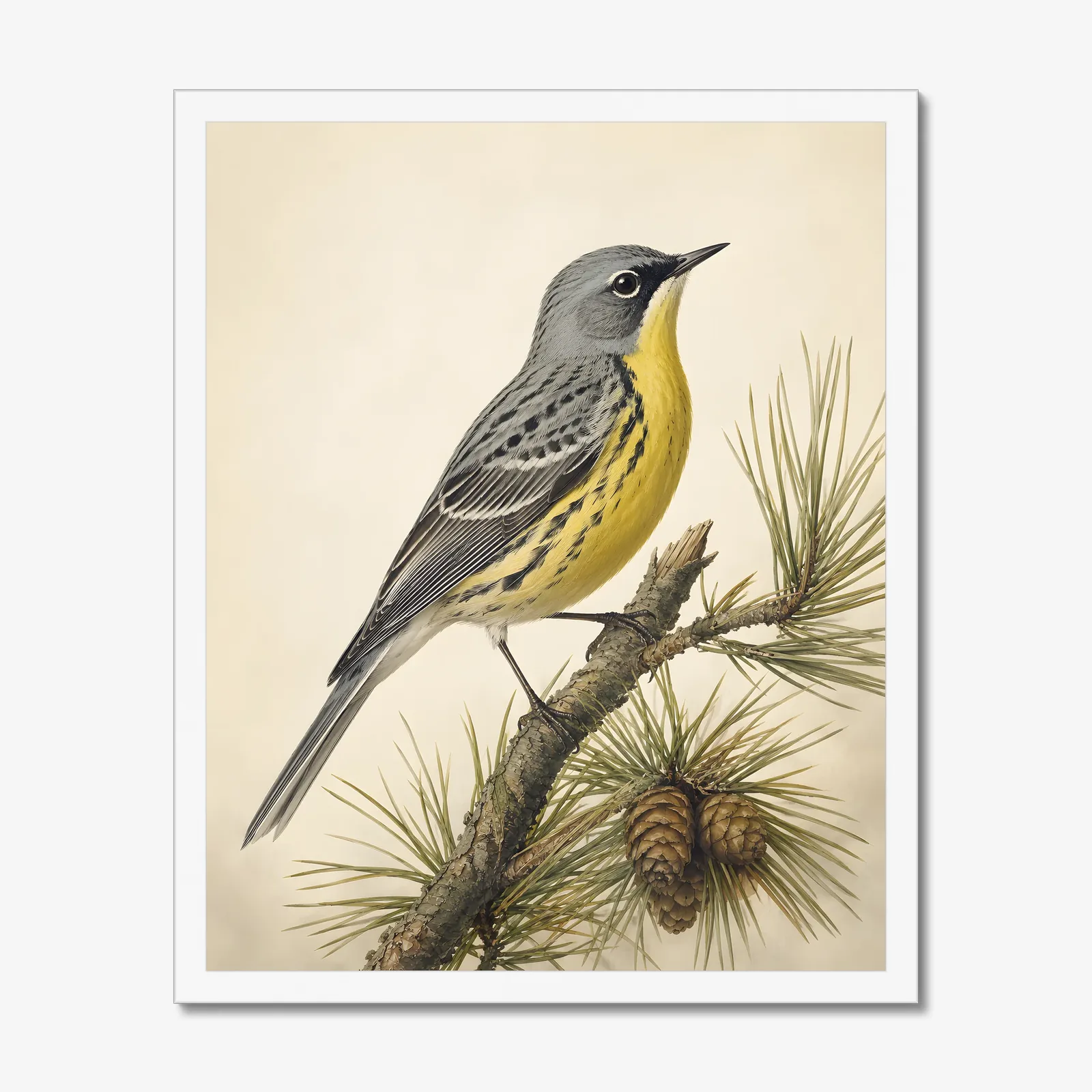 Kirtland's Warbler Print in a white frame