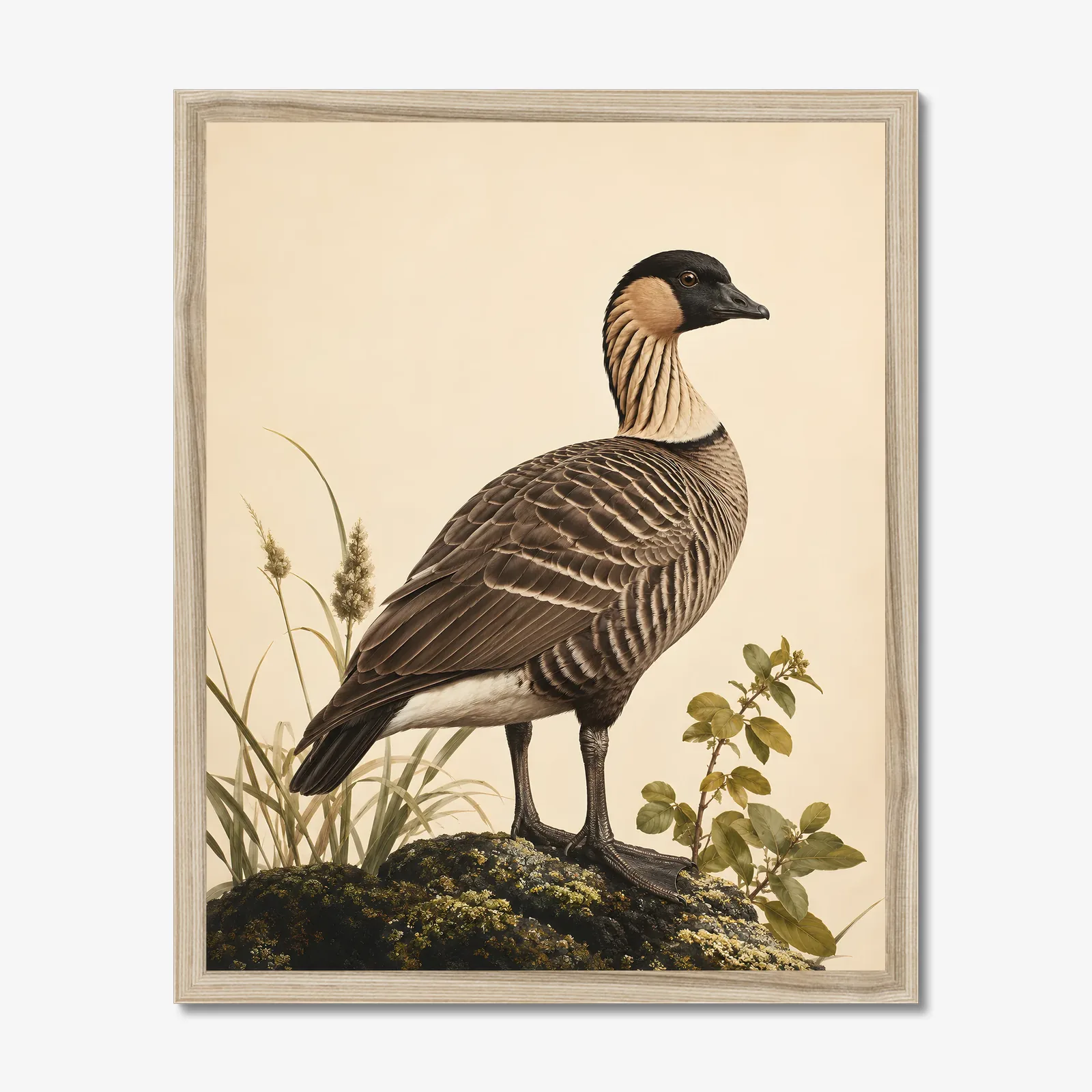 Koloa Maoli / Hawaiian Duck Print in a natural frame