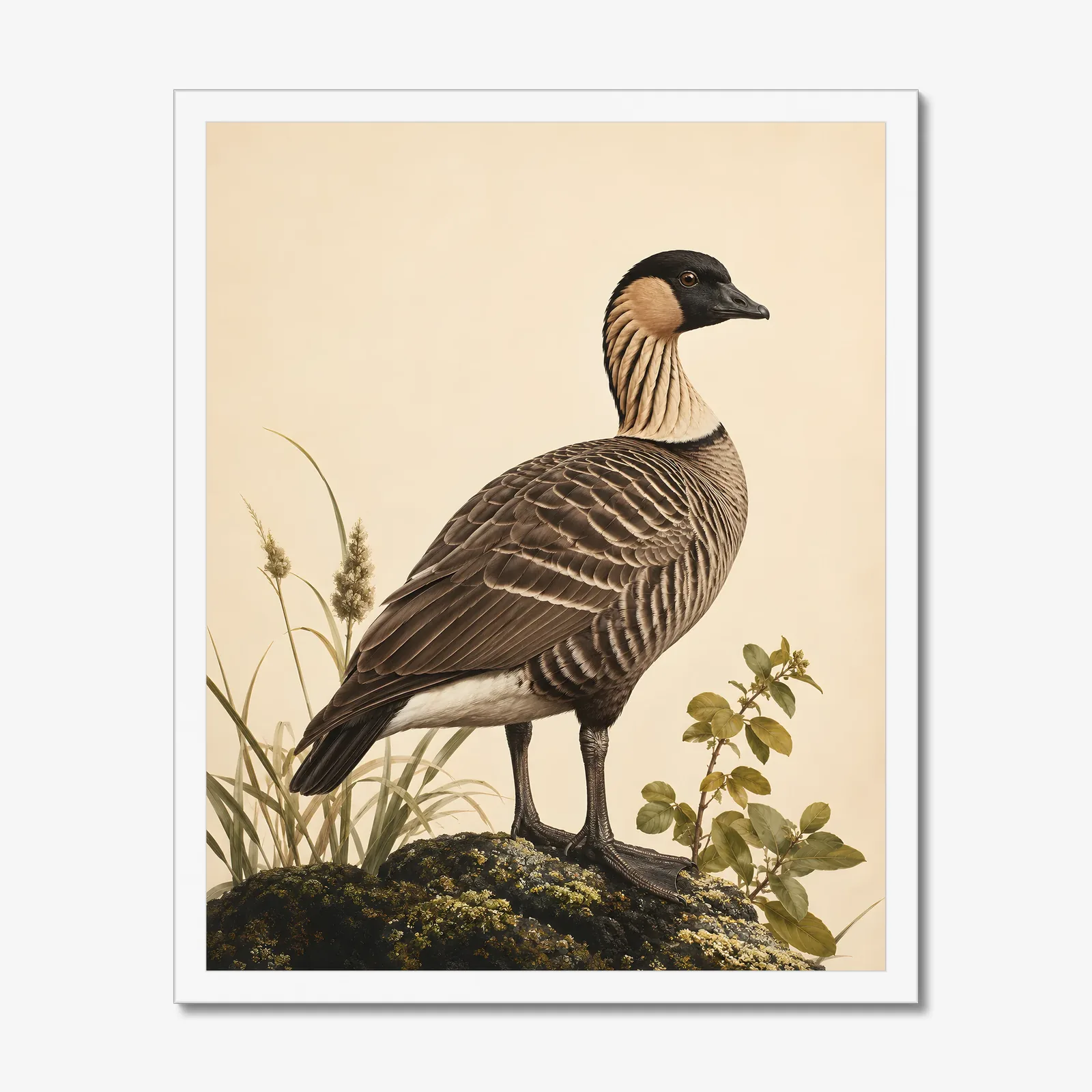 Koloa Maoli / Hawaiian Duck Print in a white frame