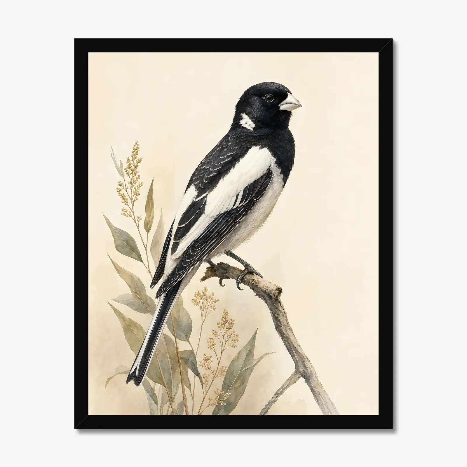 Lark Bunting Print - Black and White Prairie Bird Art in a black frame