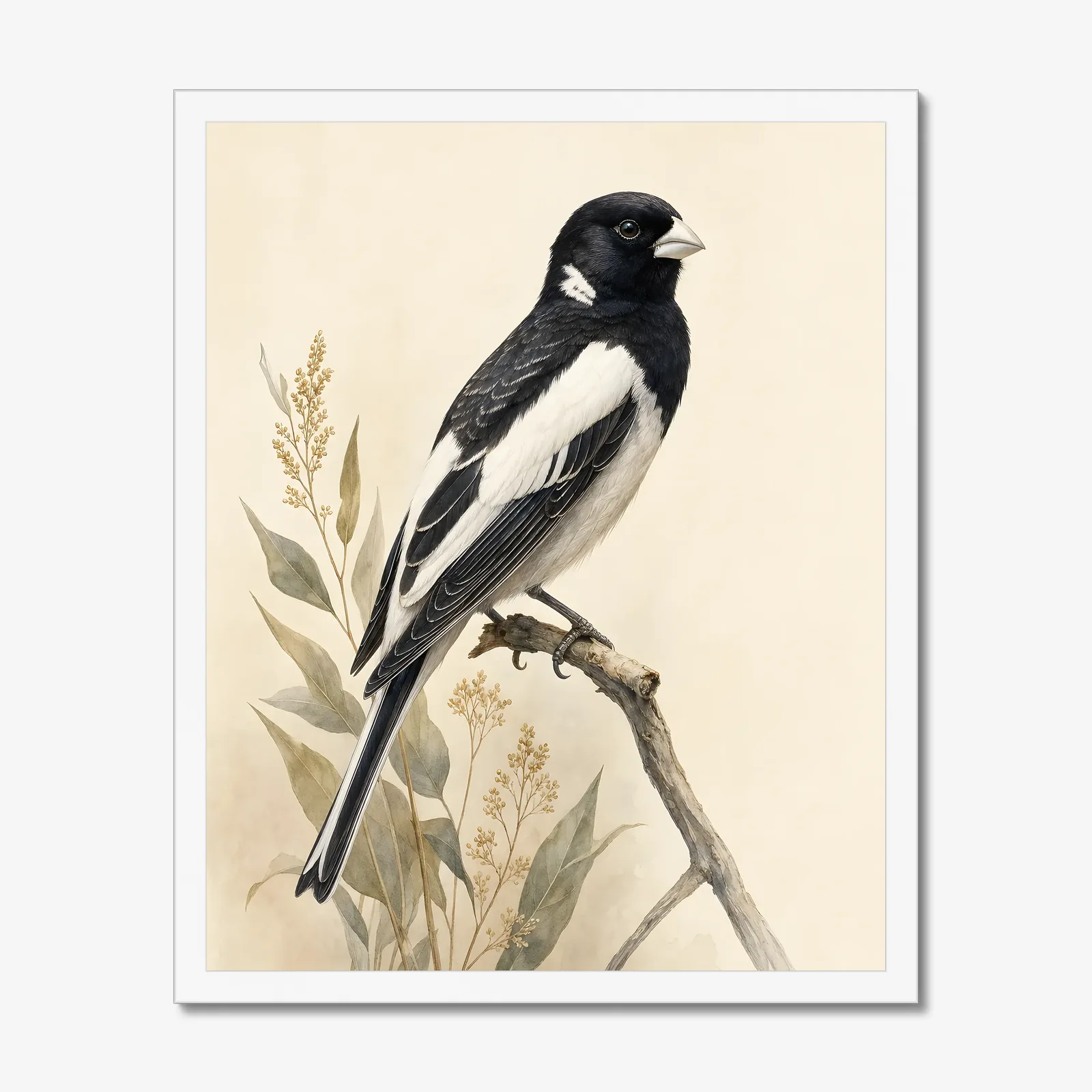 Lark Bunting Print - Black and White Prairie Bird Art in a white frame