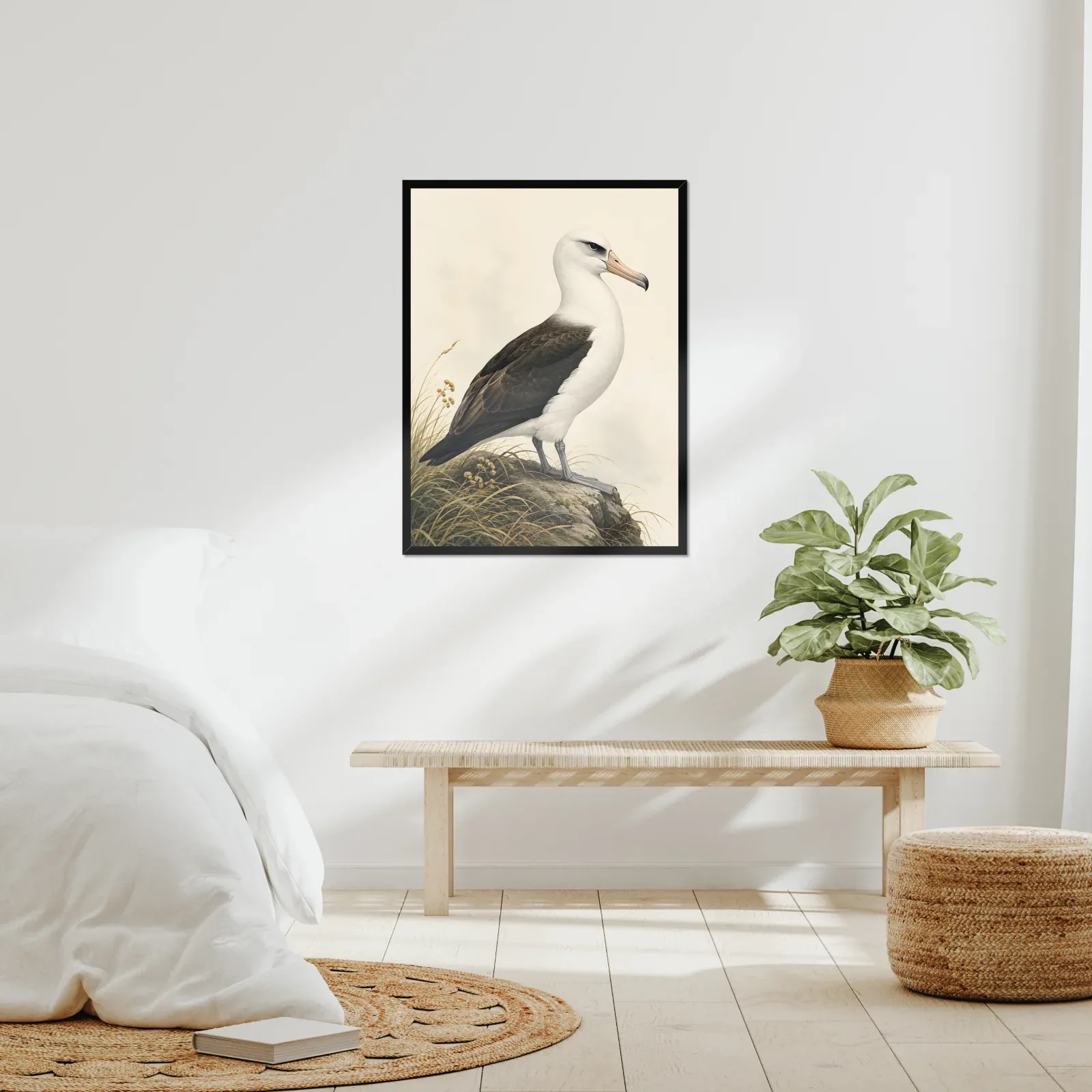 Laysan Albatross Print framed at 24x30 inches, shown on a wall to scale