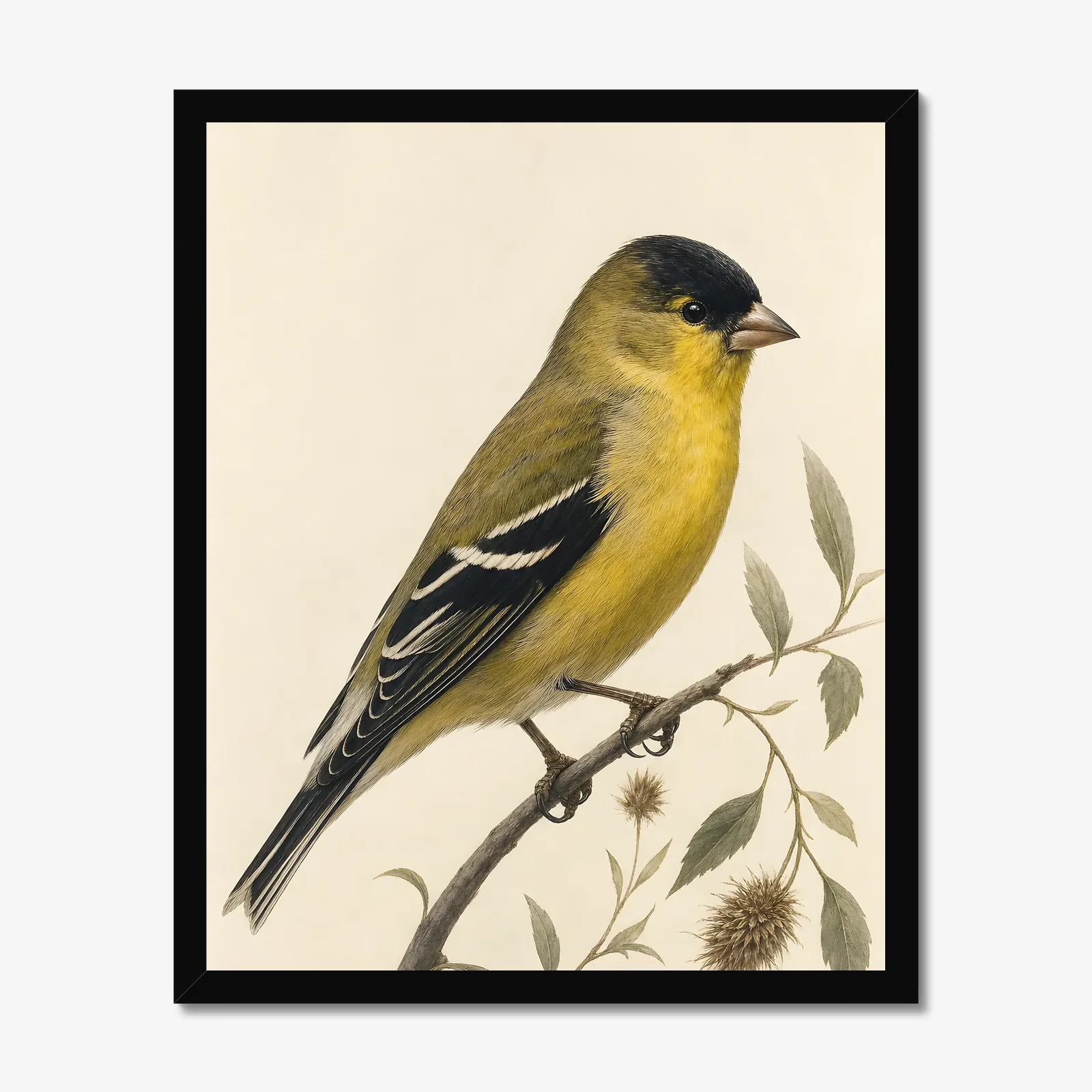 Lesser Goldfinch Print in a black frame