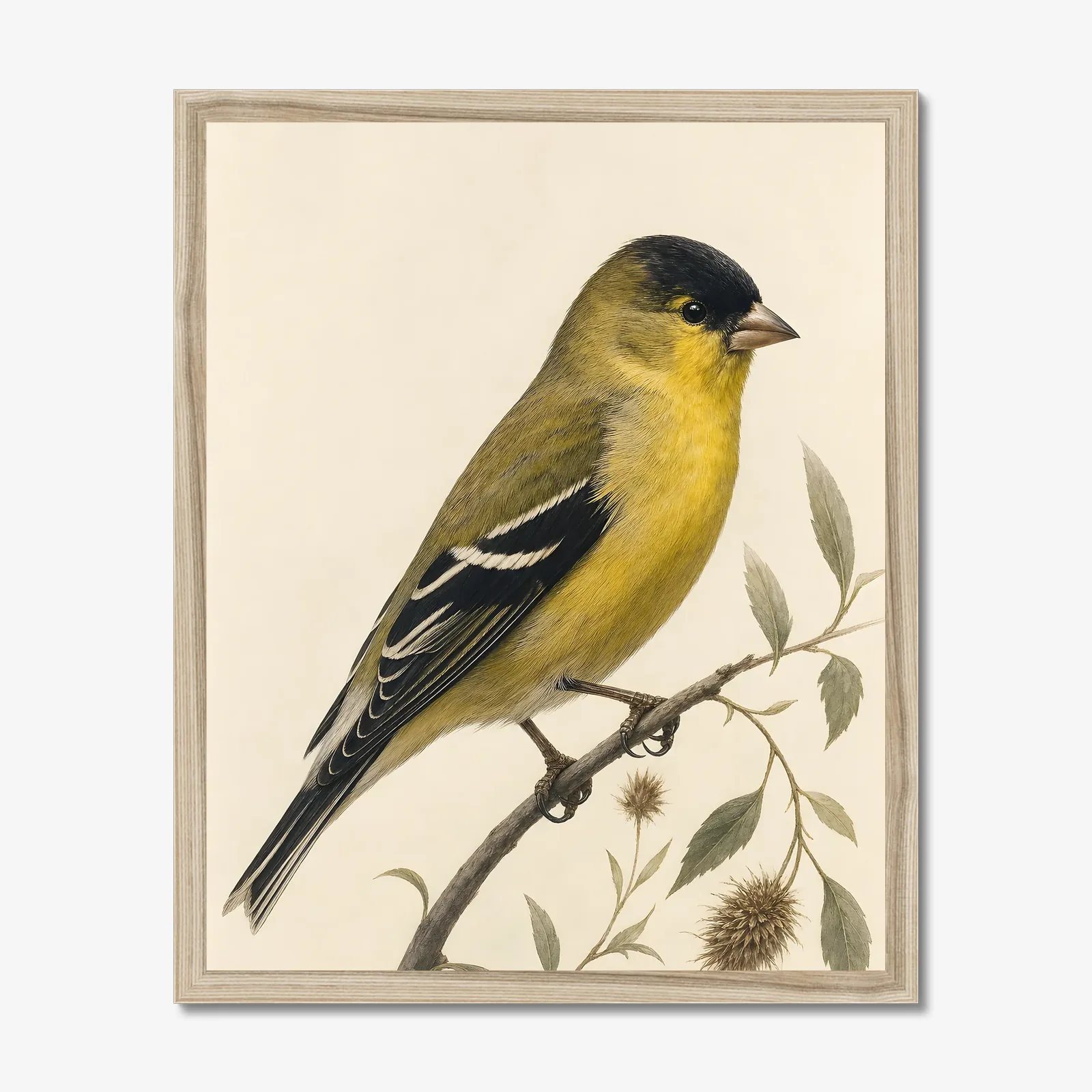 Lesser Goldfinch Print in a natural frame