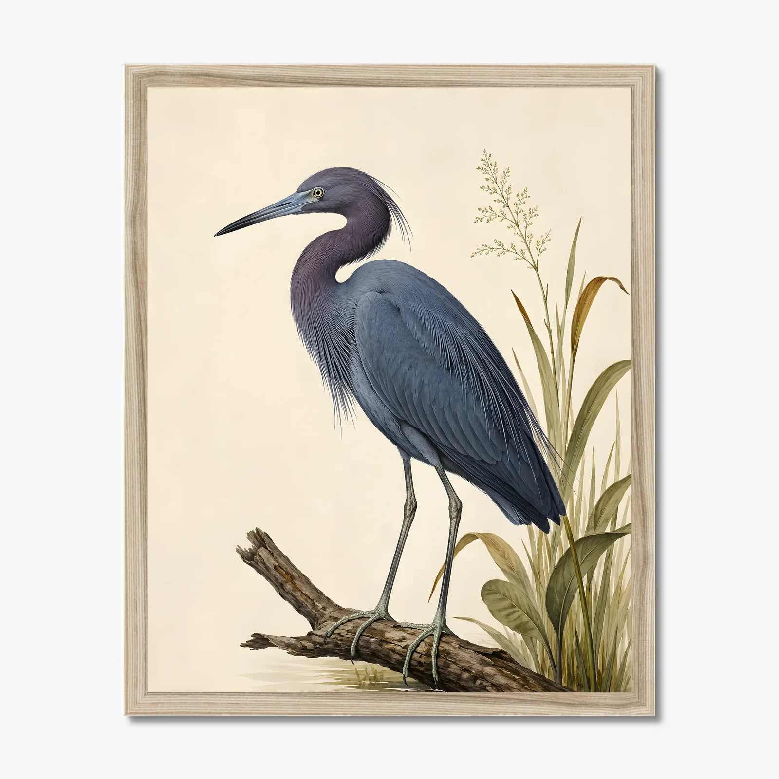 Little Blue Heron Print in a natural frame