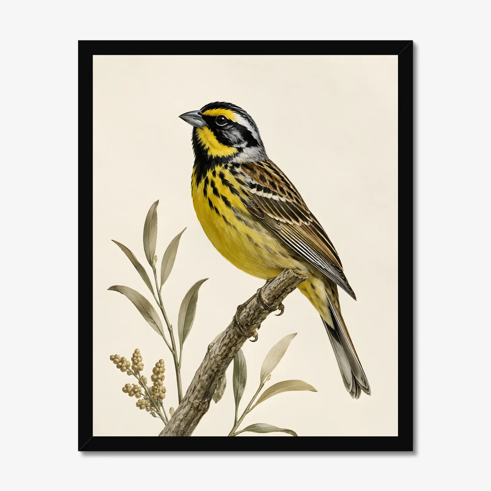 McKay's Bunting Print in a black frame