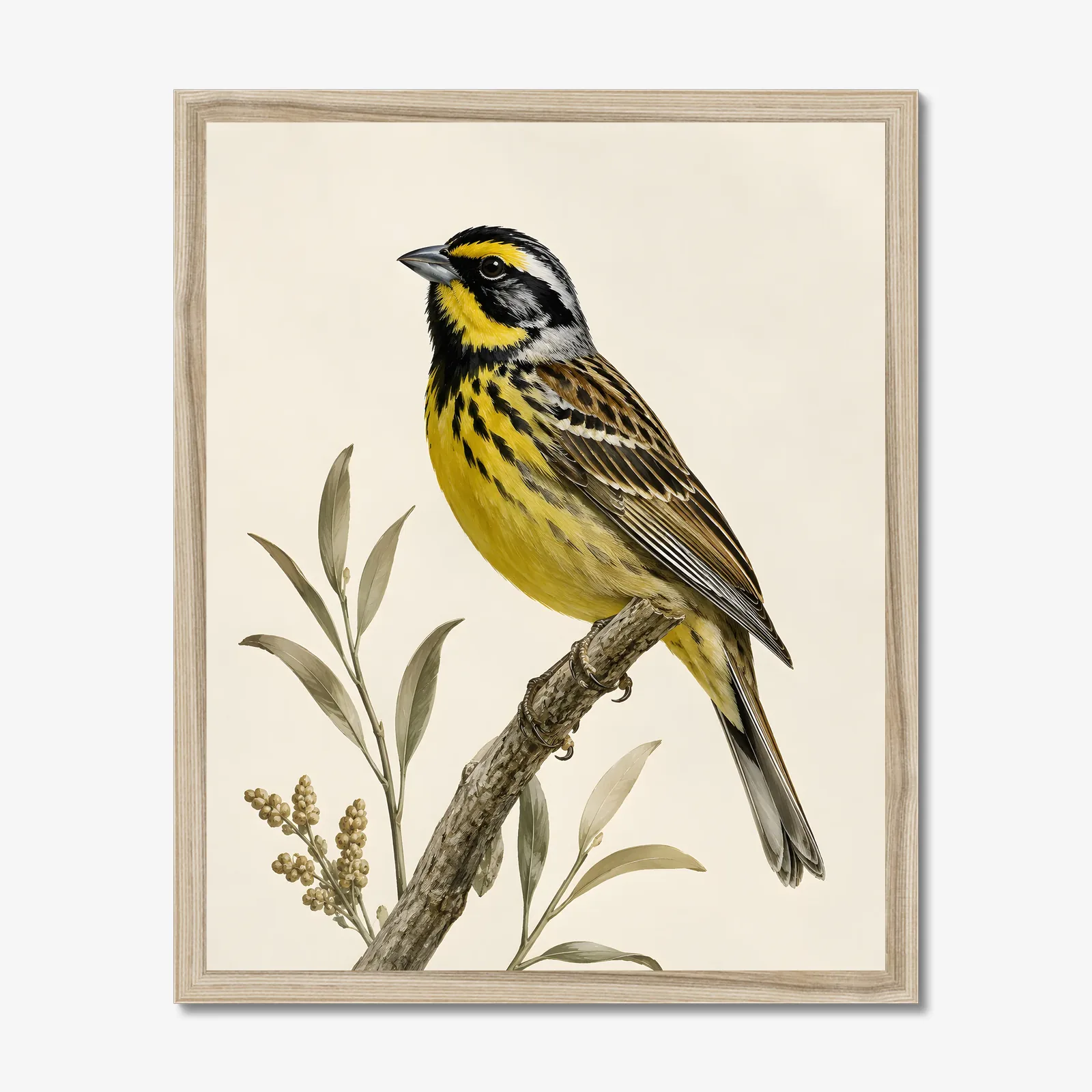 McKay's Bunting Print in a natural frame