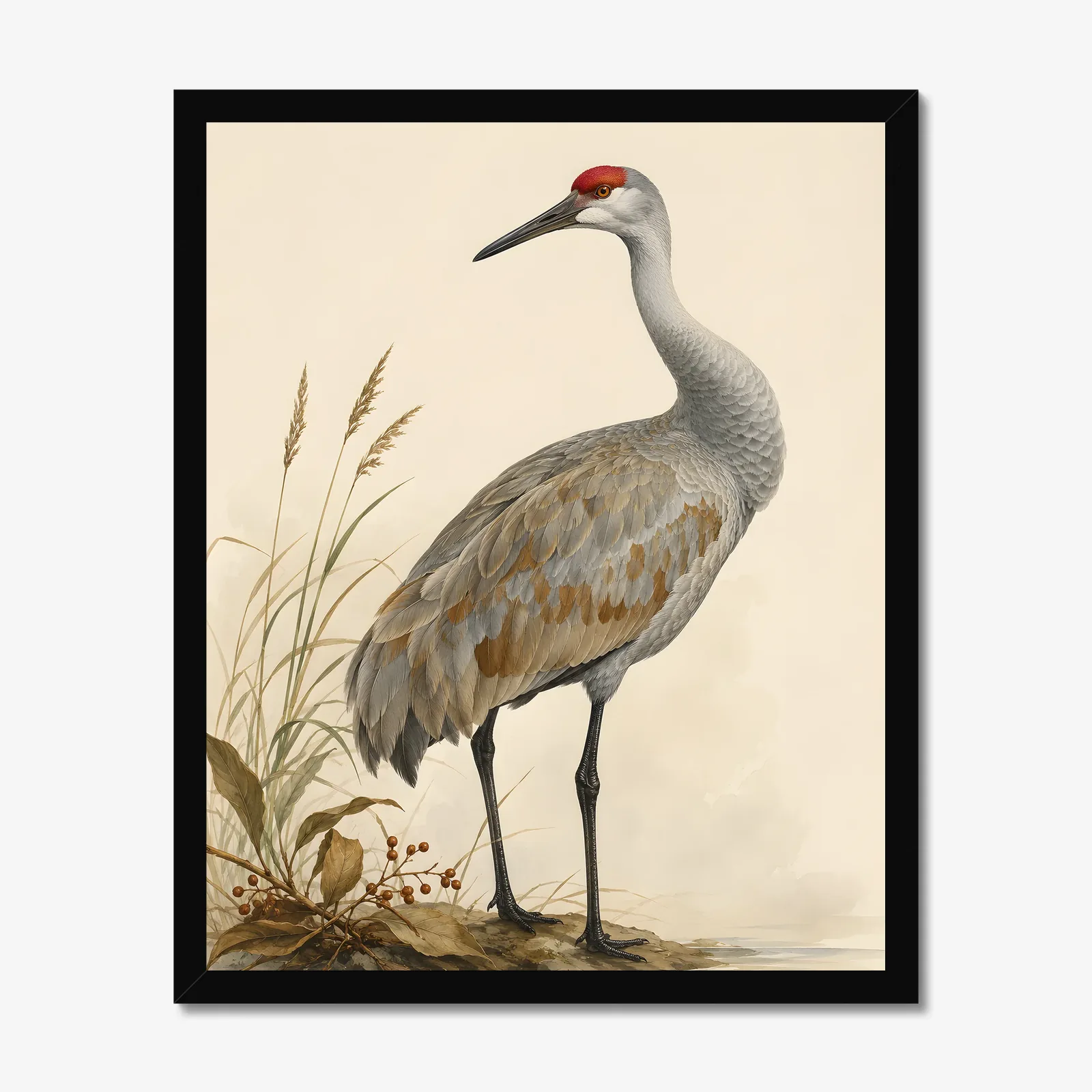 Mississippi Sandhill Crane Print in a black frame