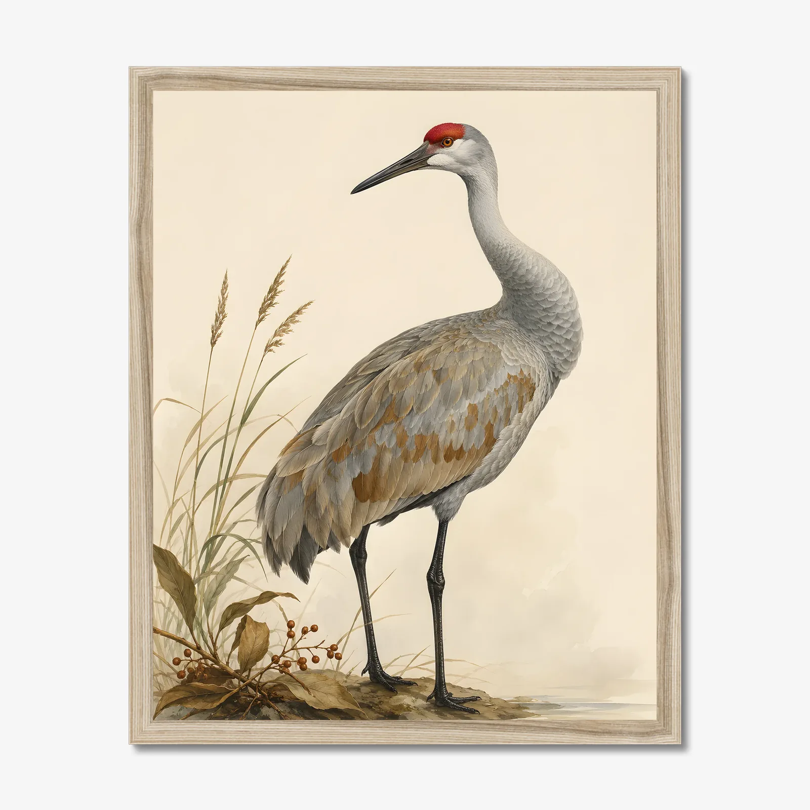 Mississippi Sandhill Crane Print in a natural frame